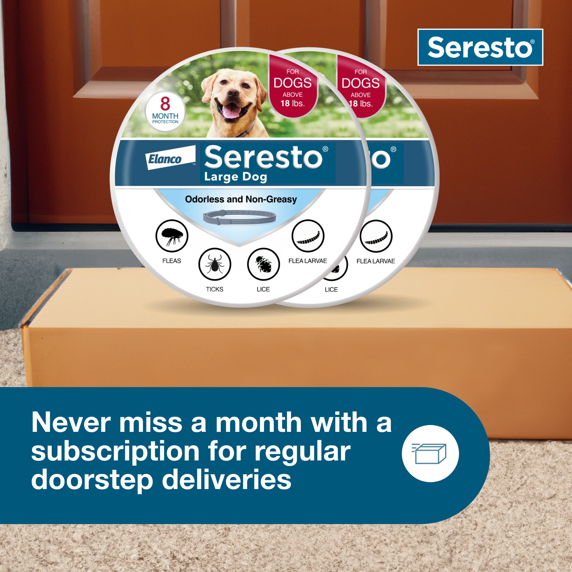 Seresto flea medicine for sales dogs