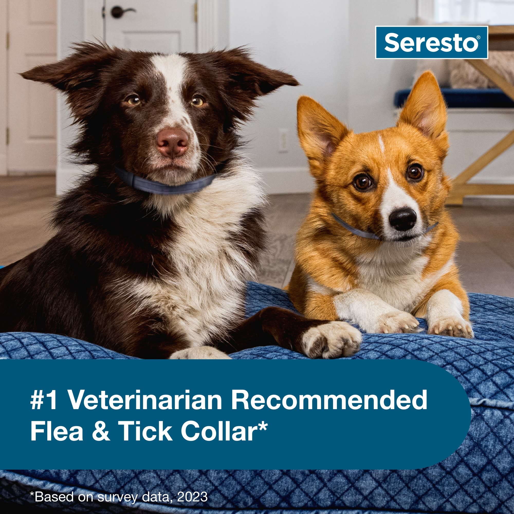 Seresto flea outlet collar at petsmart