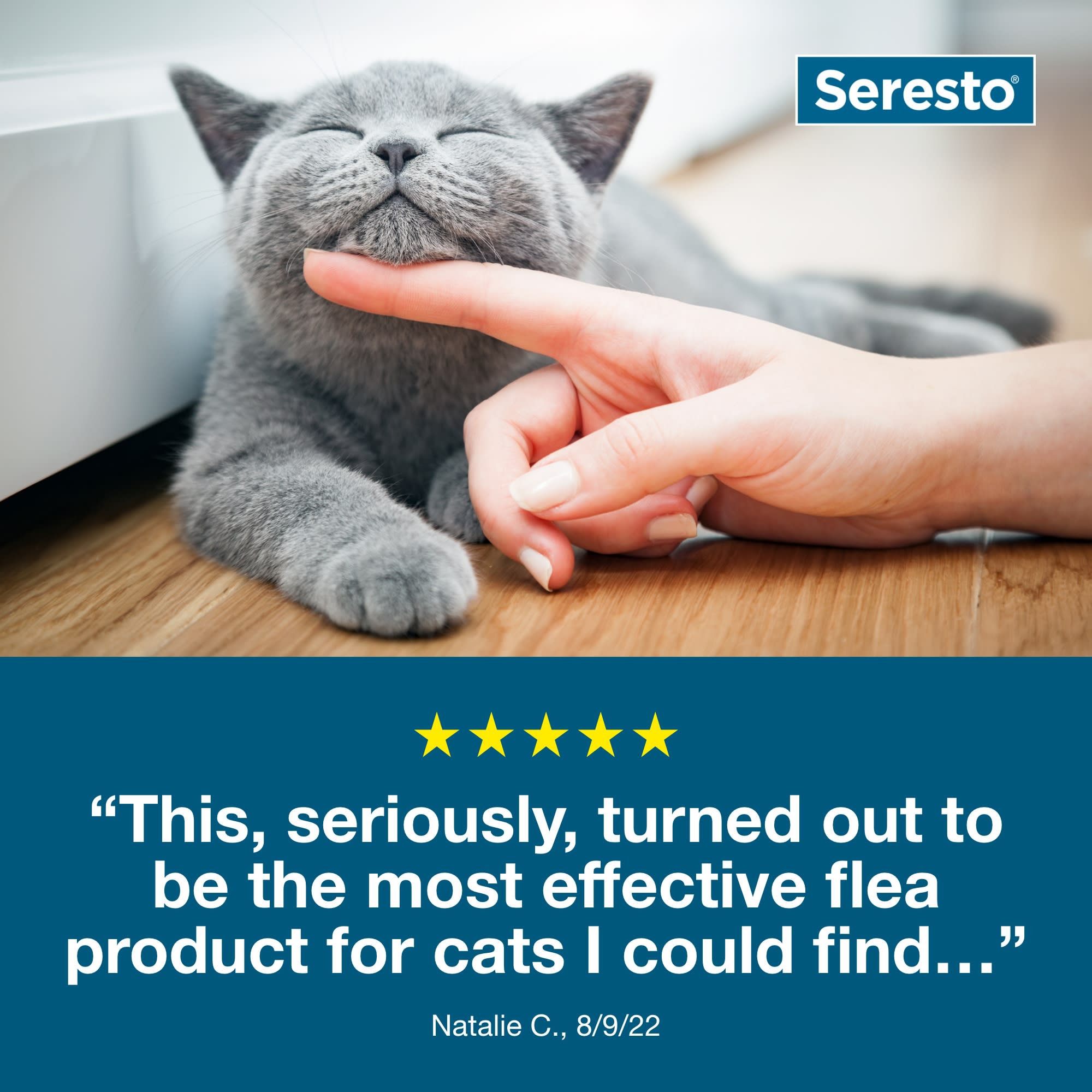 Seresto store for cats