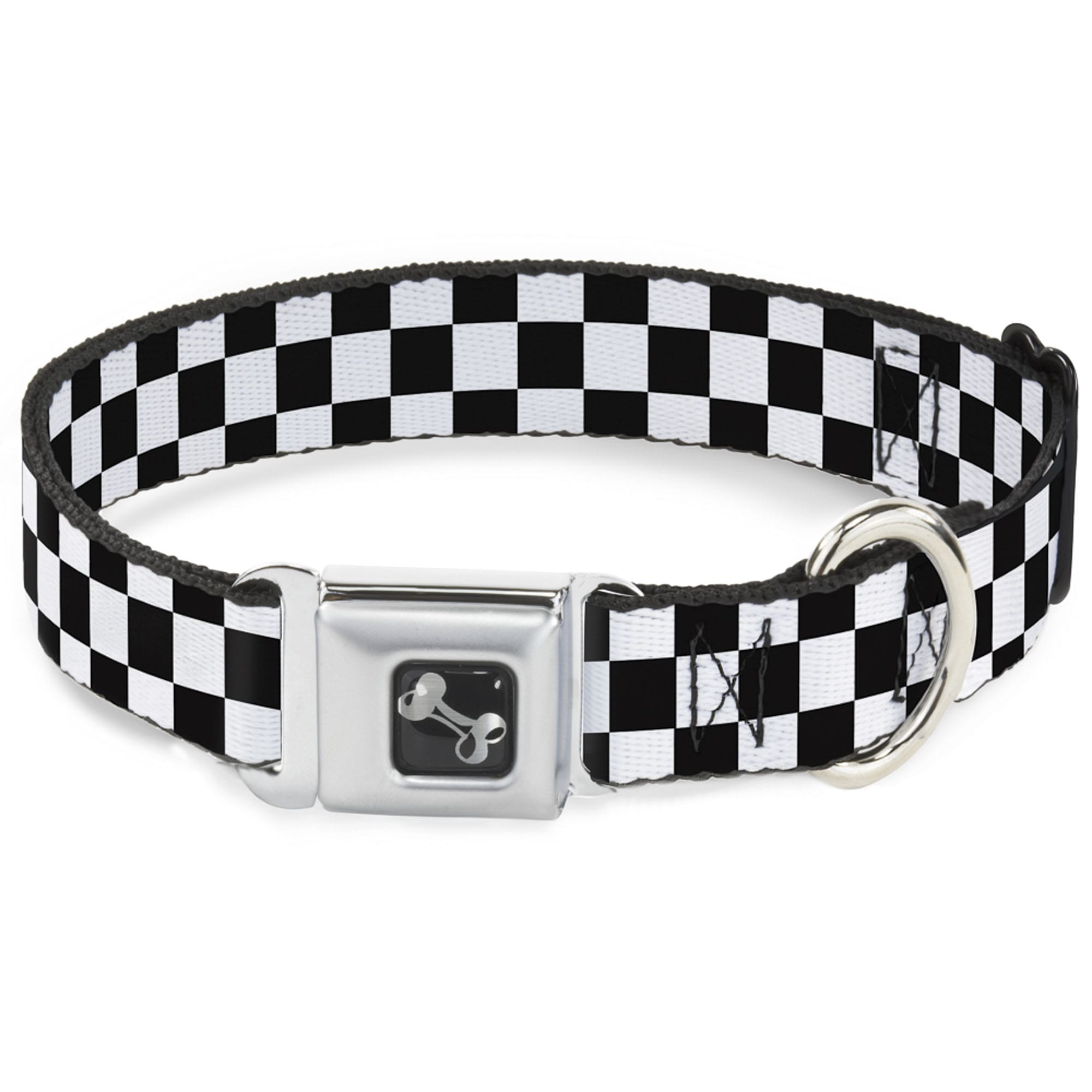 white dog collar