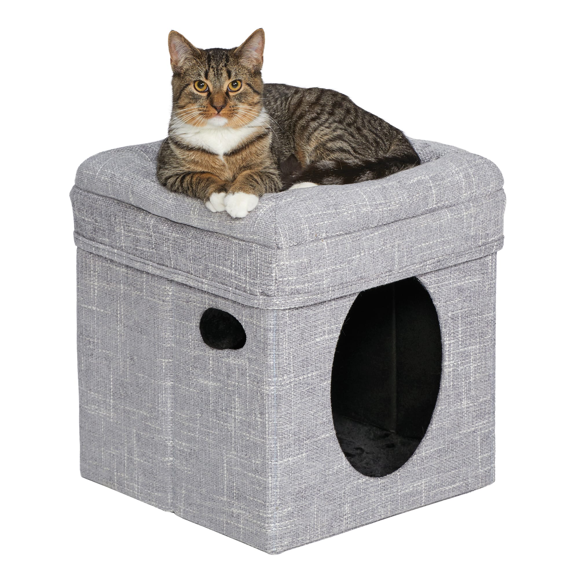 Midwest Curious Cube Cottage for Cat 