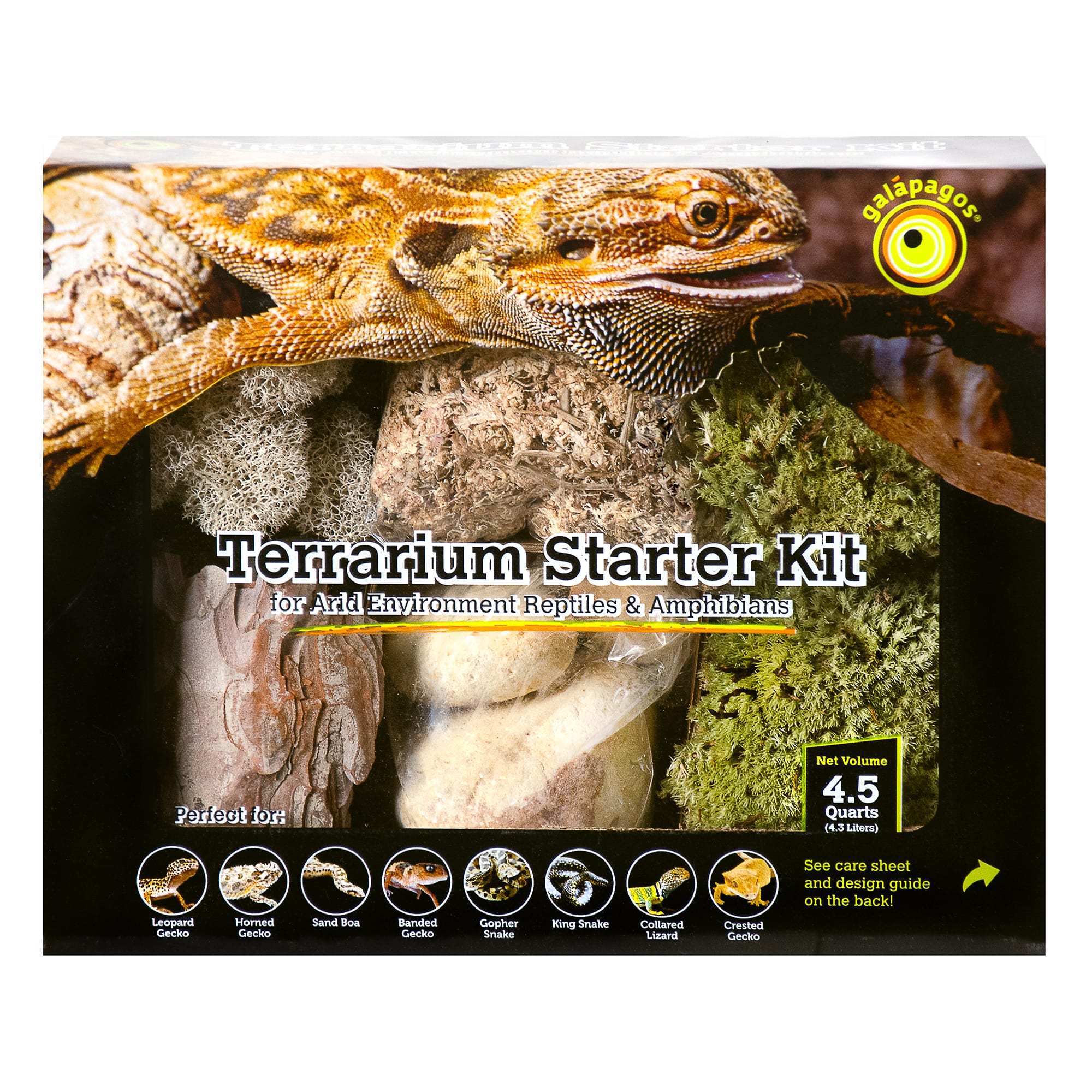 Bearded dragon shop starter kit petco