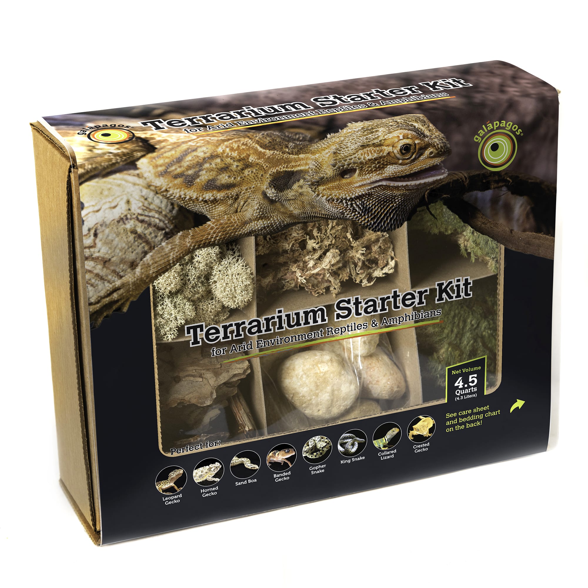 Petco gecko clearance starter kit