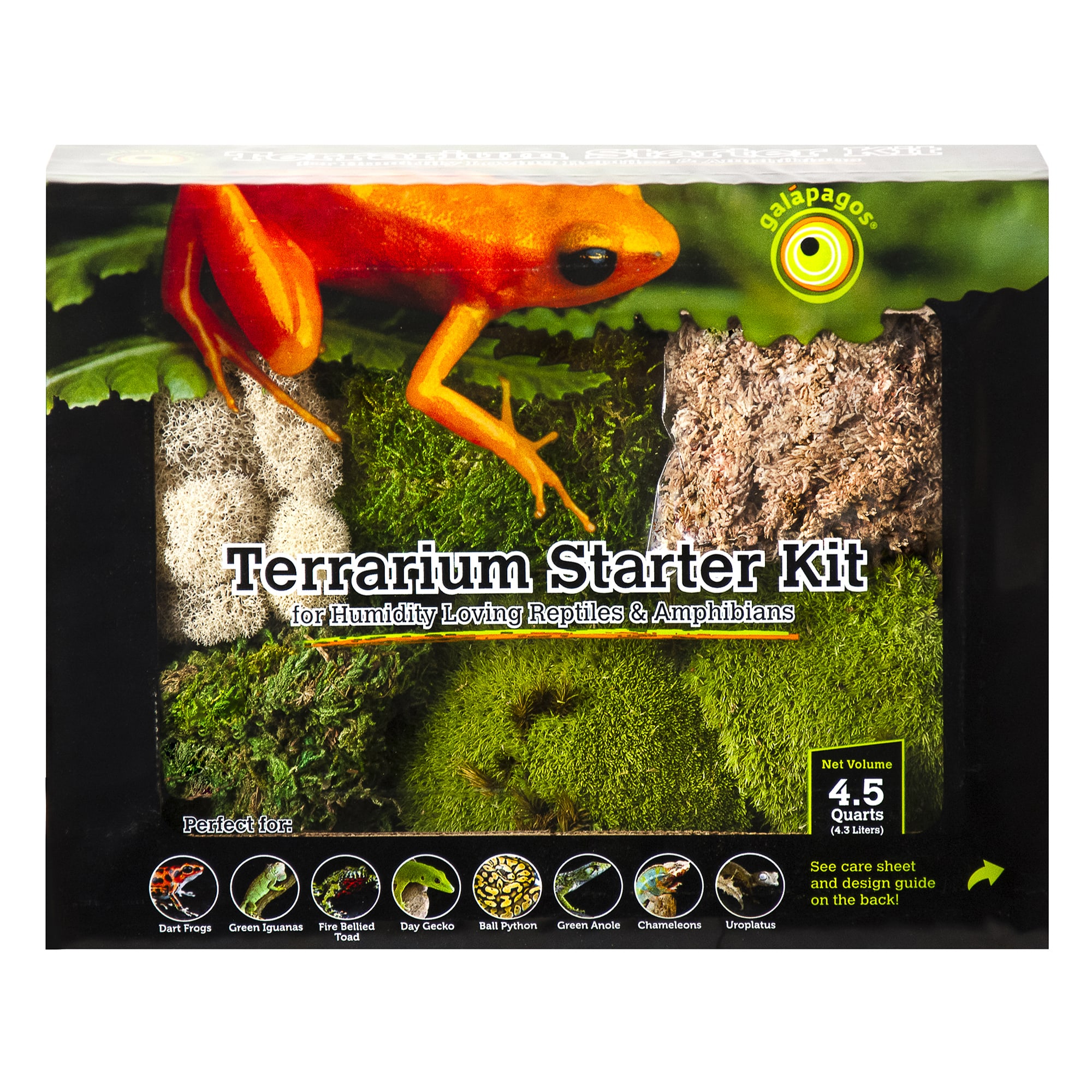 Zoo Med Frog Moss Returns to Life in Your Reptile or Amphibian