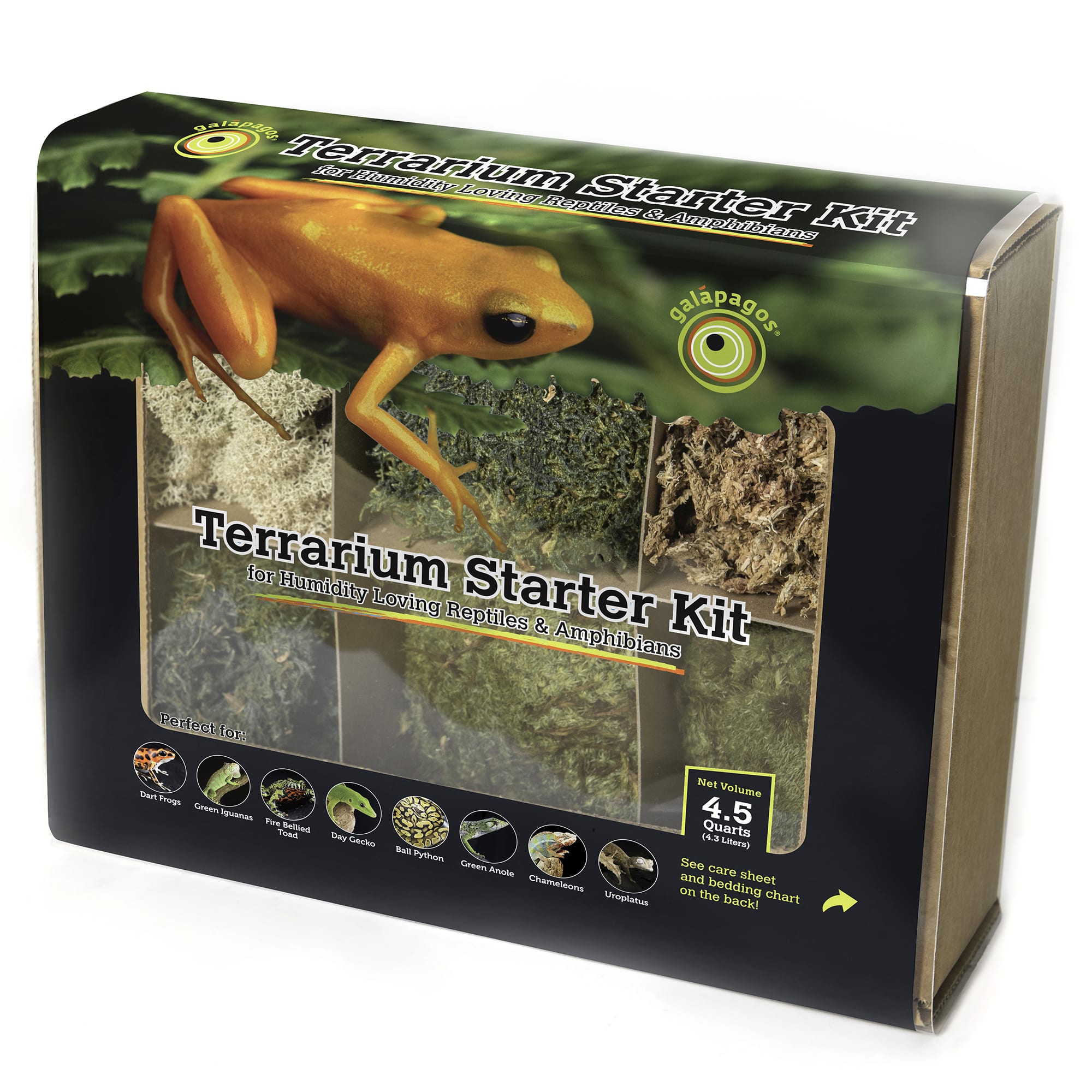 Petco reptile outlet starter kit