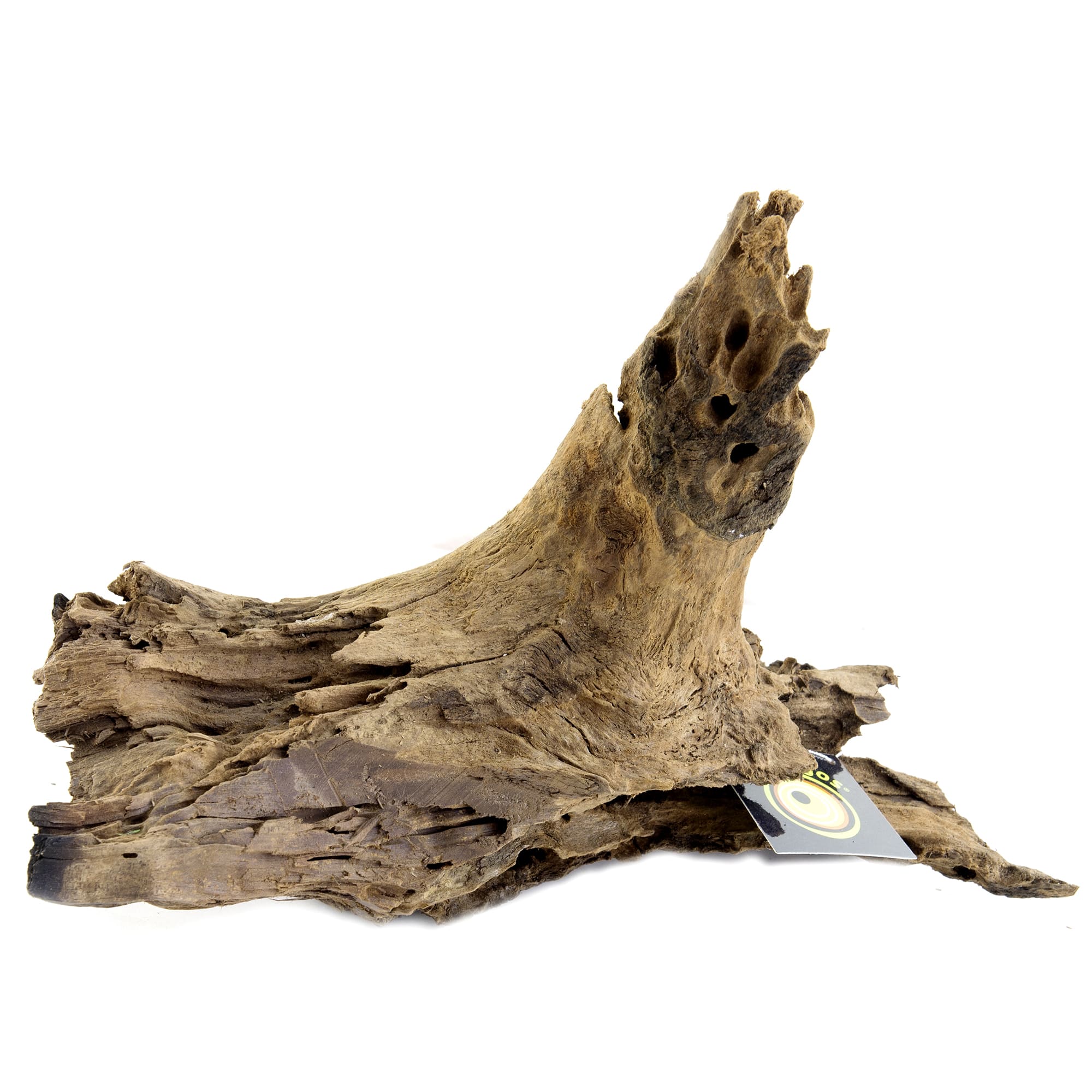 Driftwood  Hello Geckos