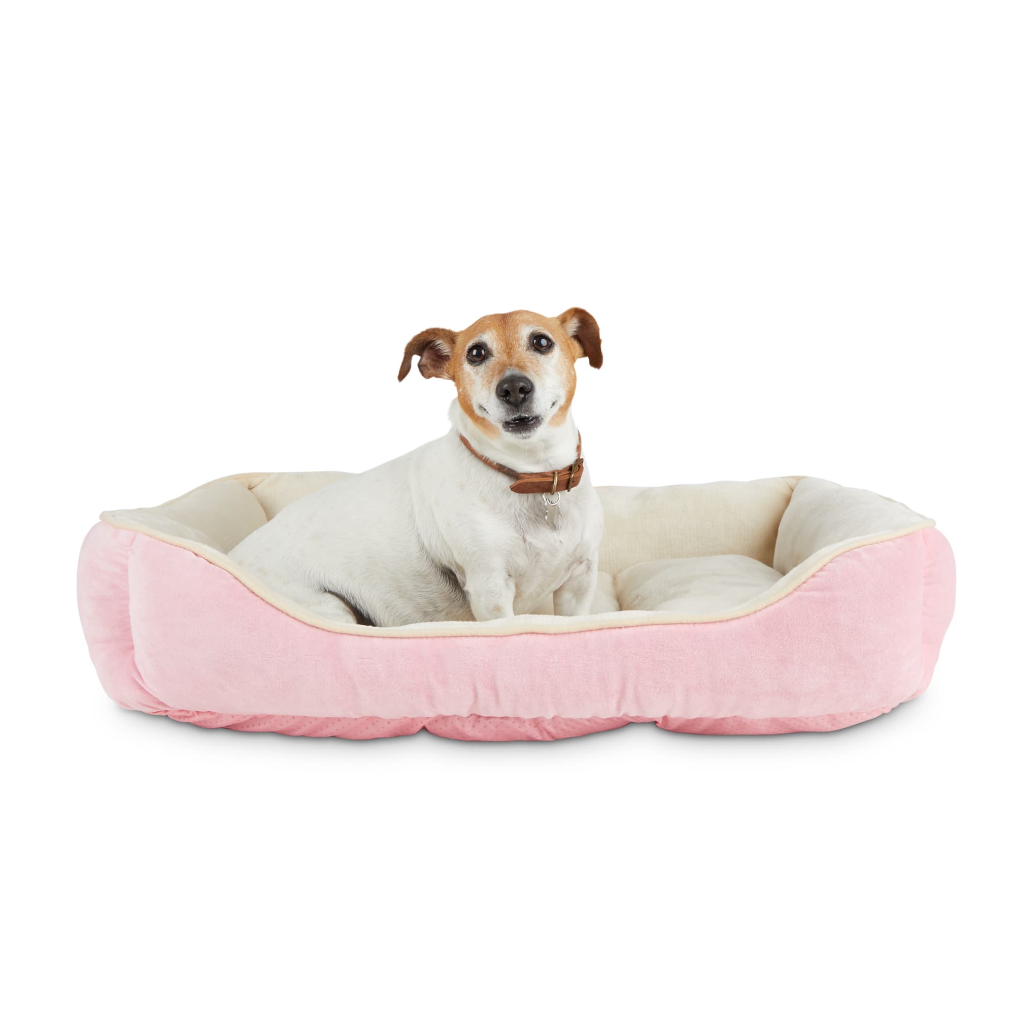 EveryYay Essentials Snooze Fest Pink Lounger Dog Bed, 32" L X 24" W Petco