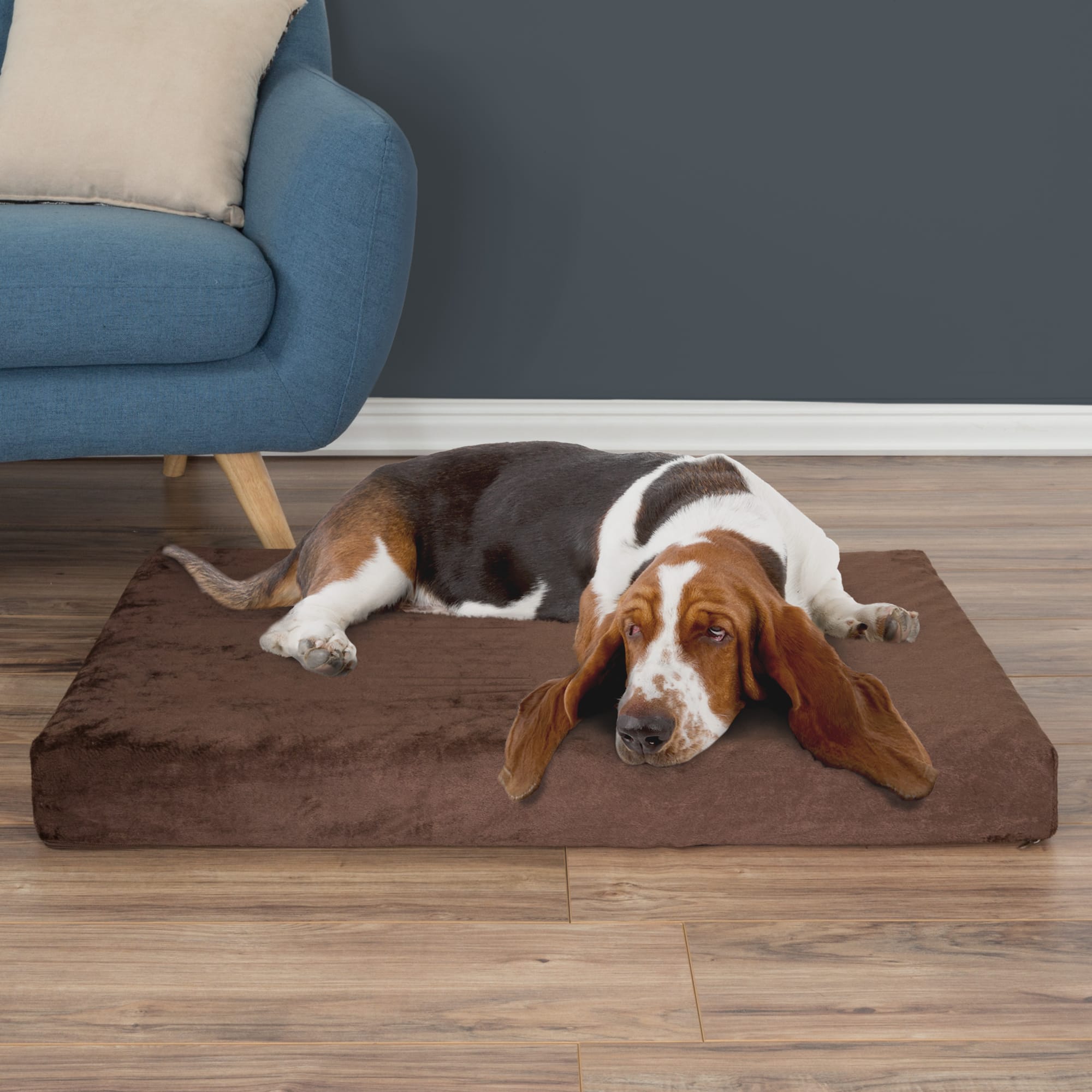 Orthopedic Dog Bed  Egg Crate Foam Pet Bed Mat - Copper-Pet Bed – Friends  Forever Pets