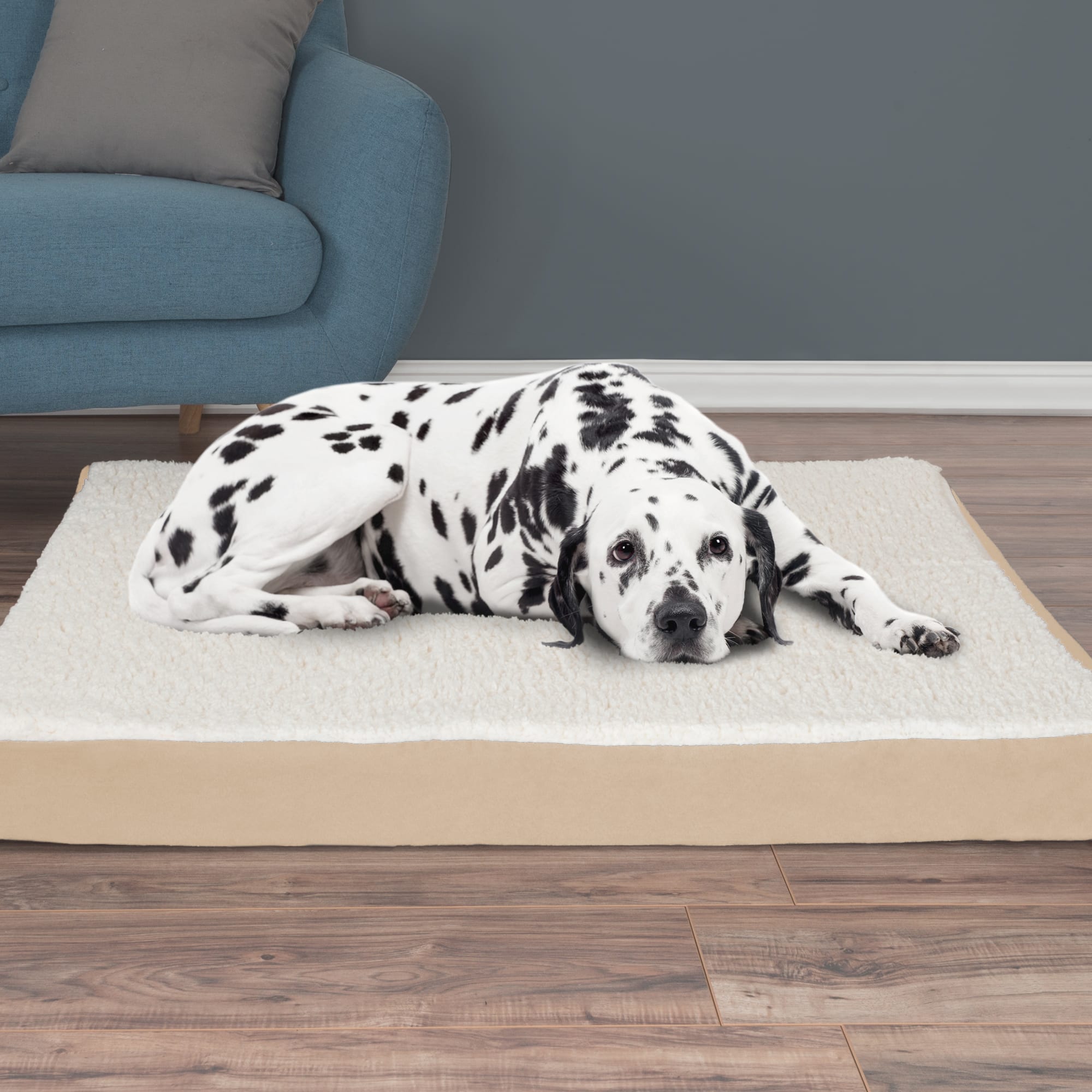 PETMAKER Orthopedic Memory Foam Dog Bed, 20