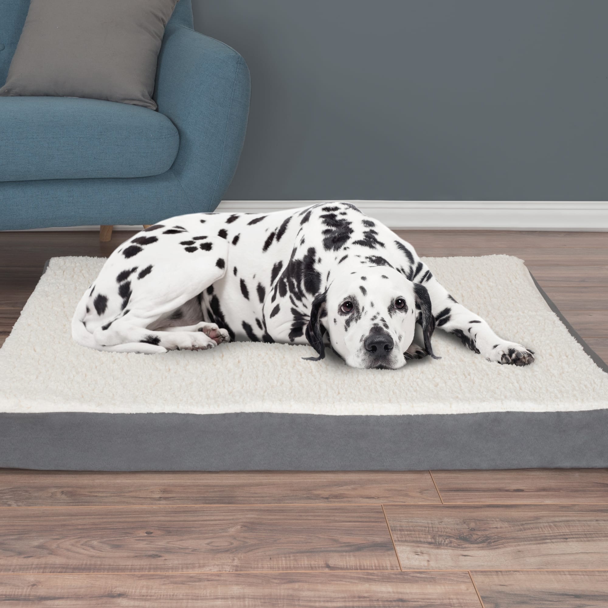 Petface memory foam dog bed hotsell