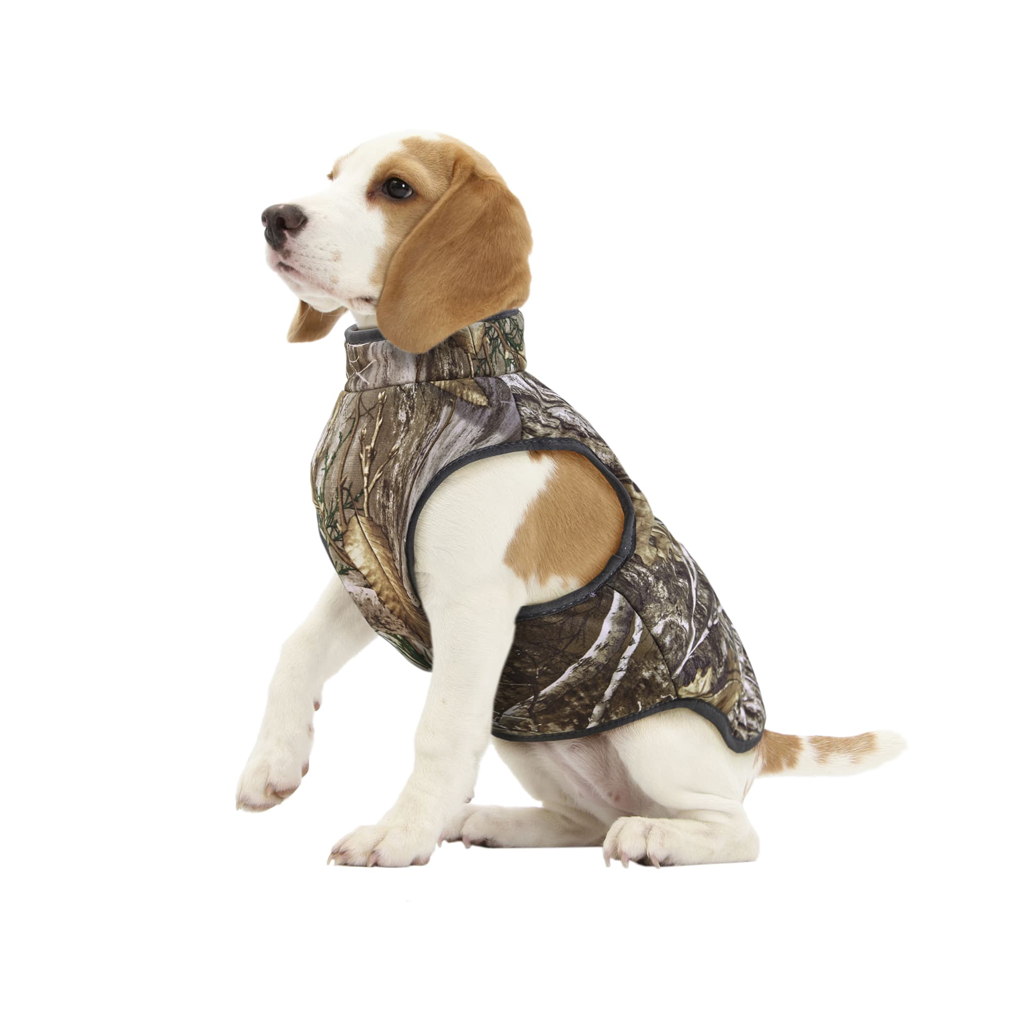 Realtree edge store camo dog jacket