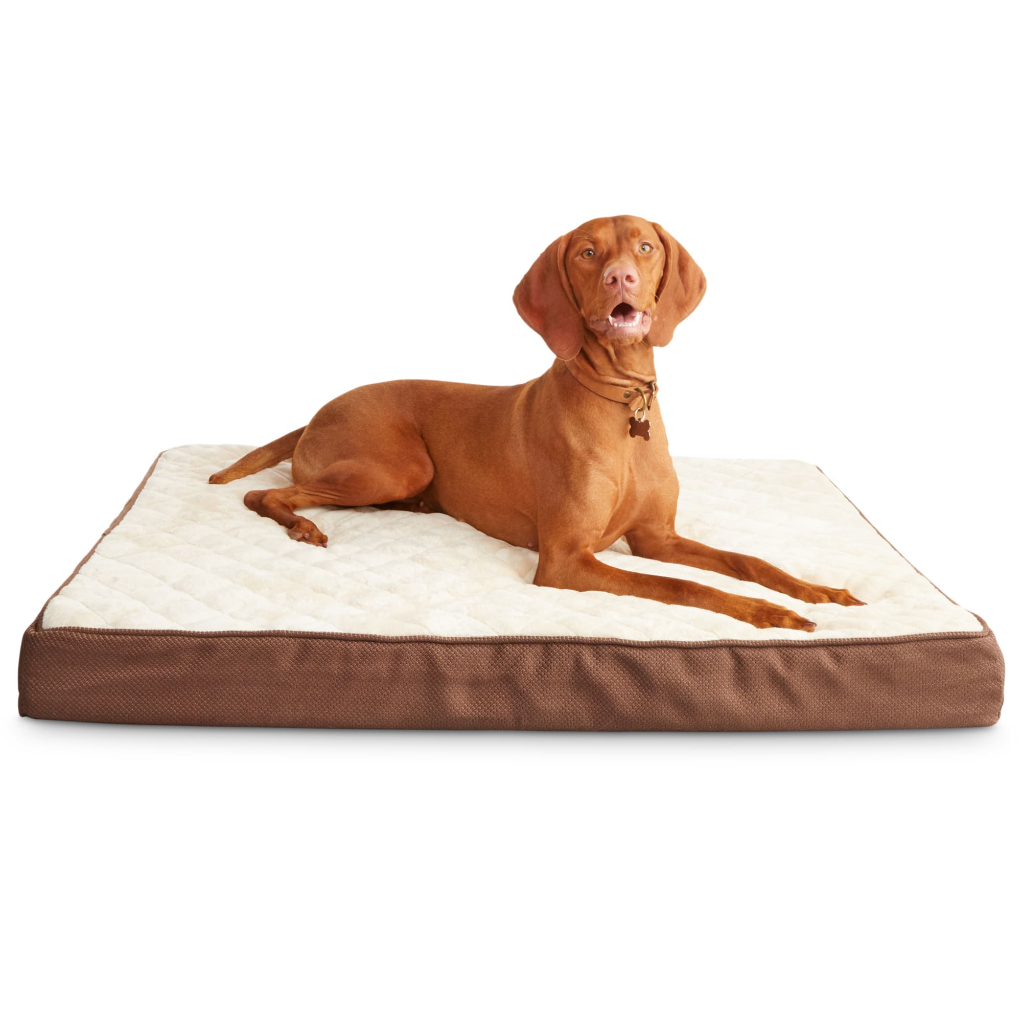 harmony lounger dog bed