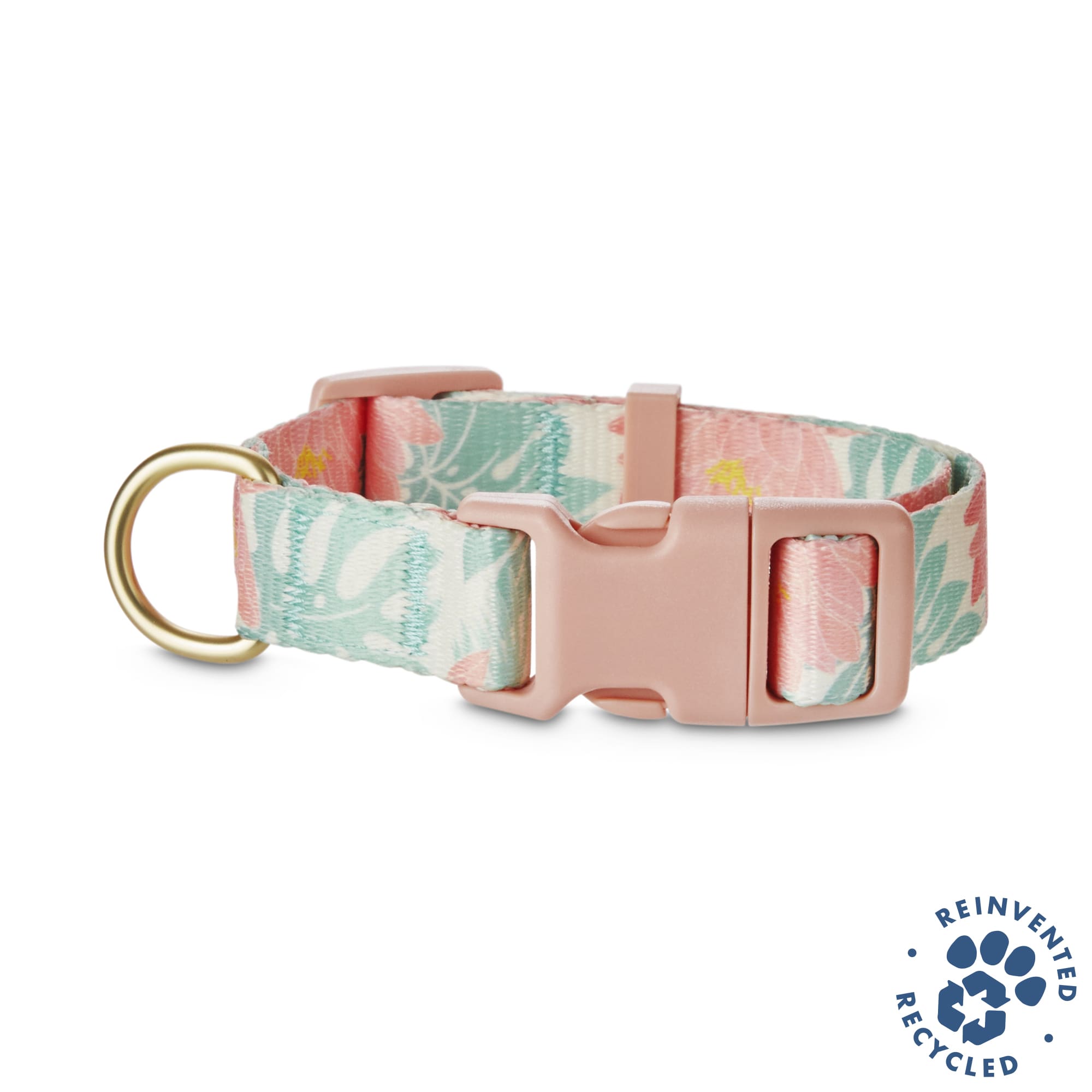 dog and co collars