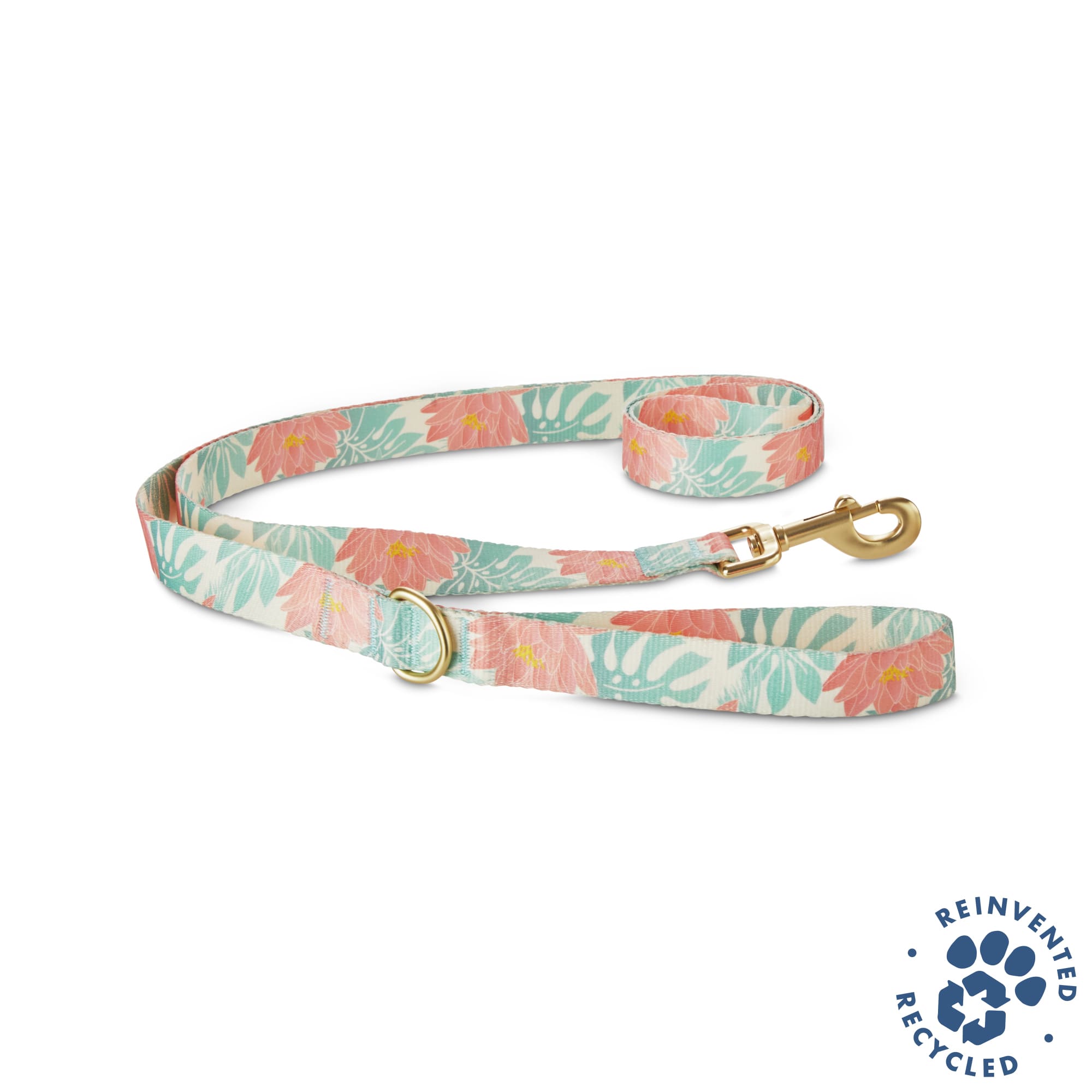 petco collars and leashes