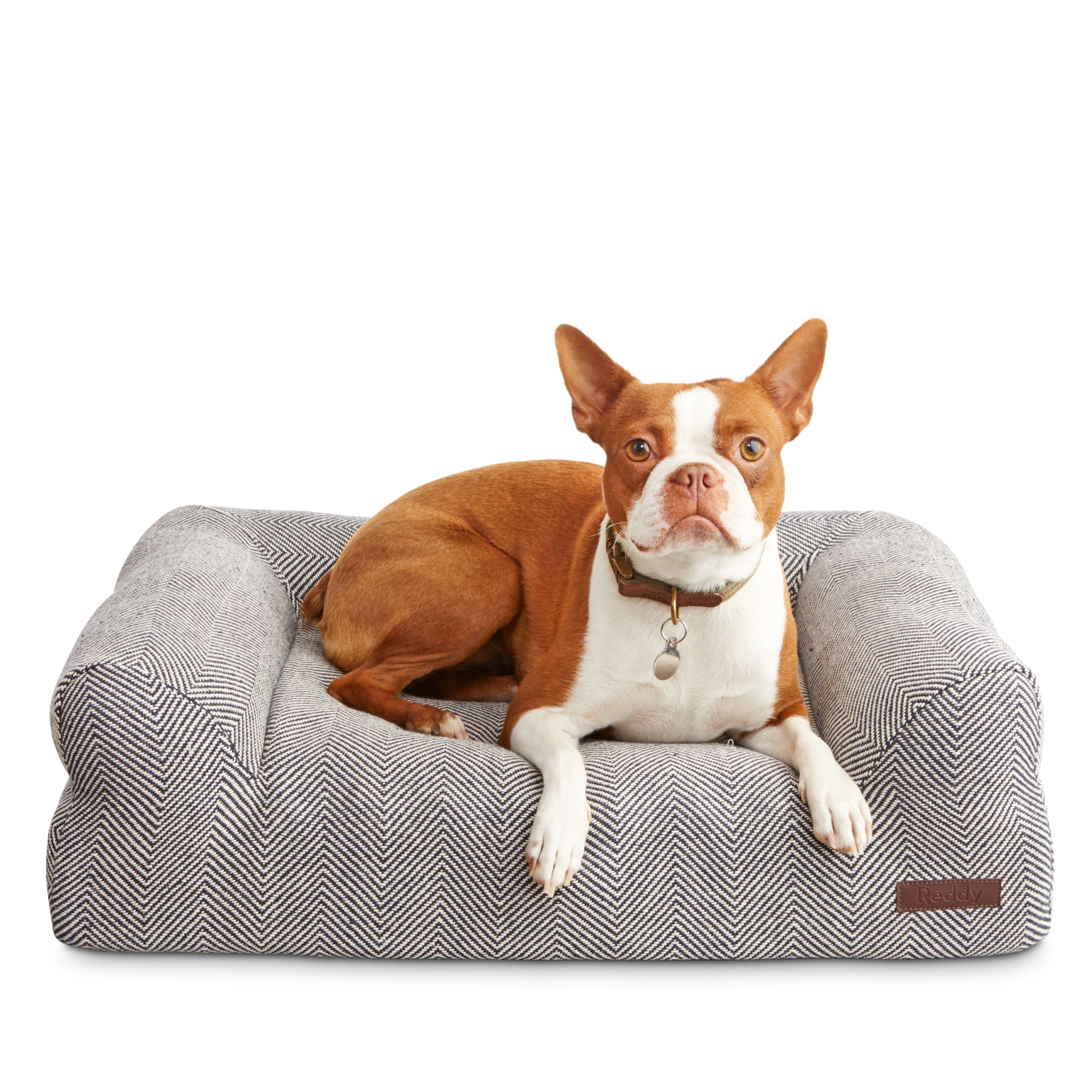 anti dust mite dog bed