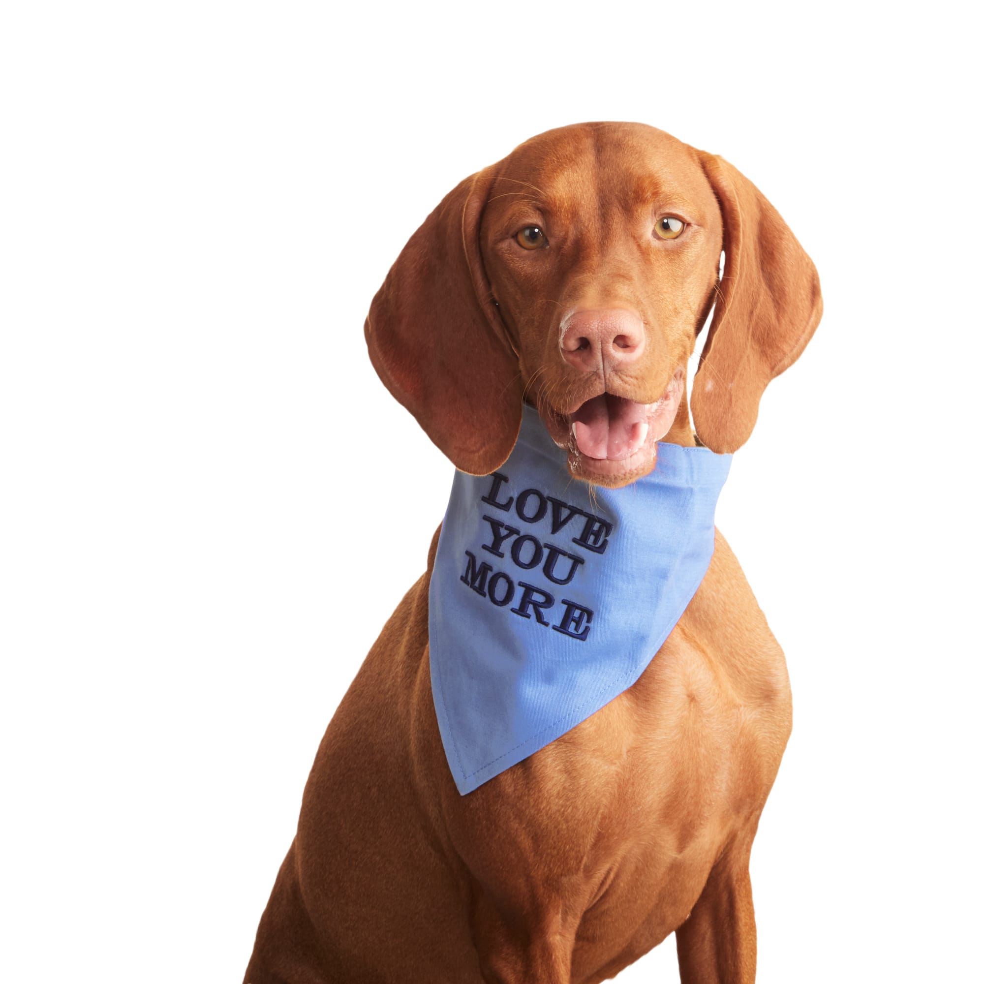 petco dog bandana