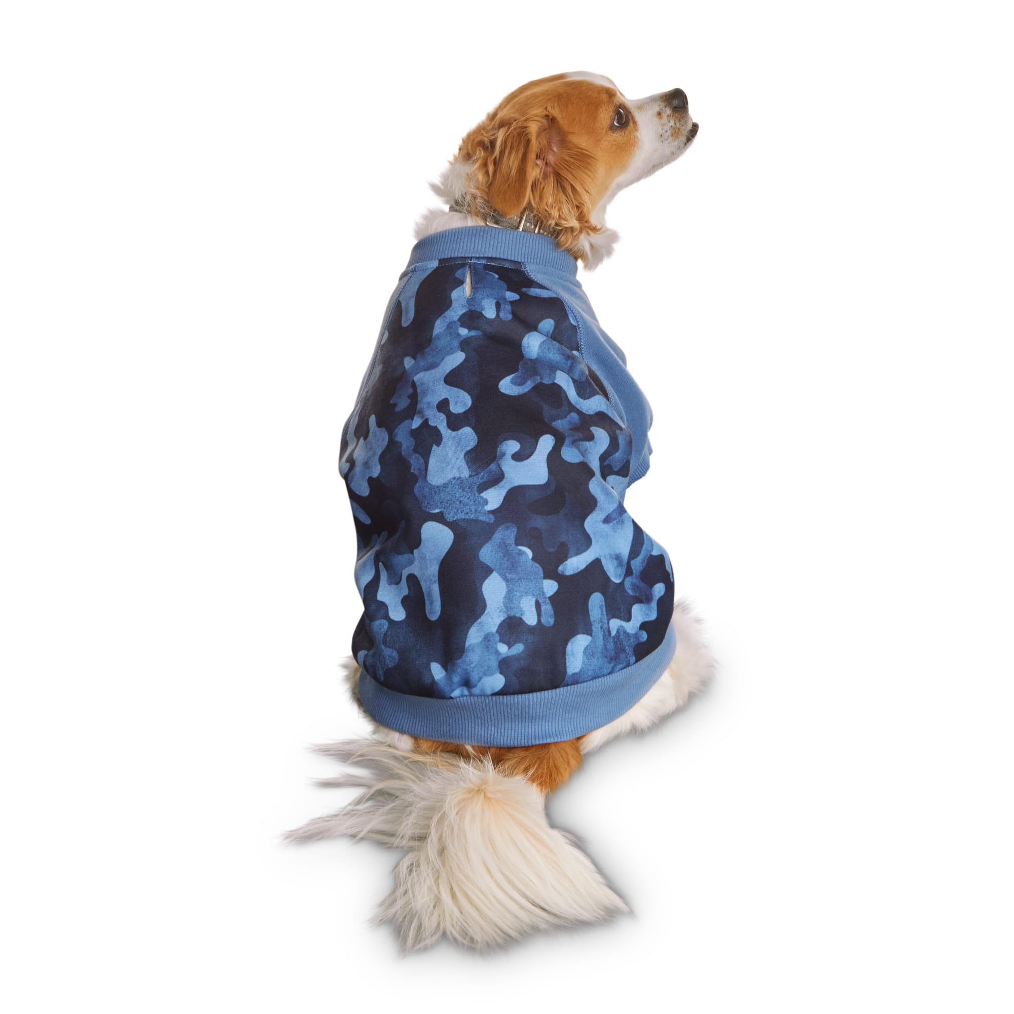 dog pullover