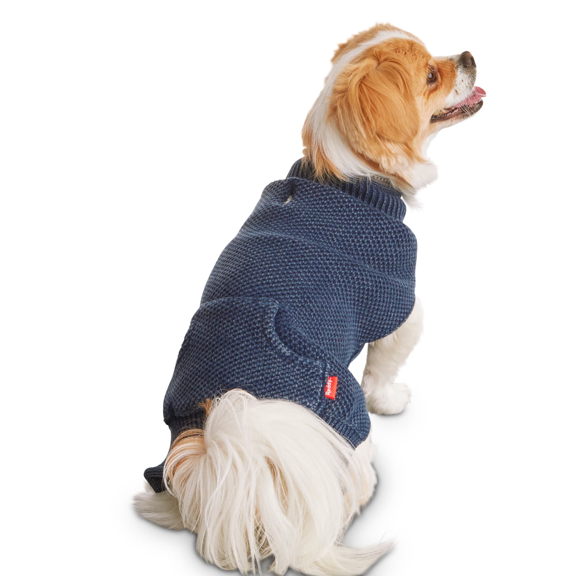 petco dog jacket