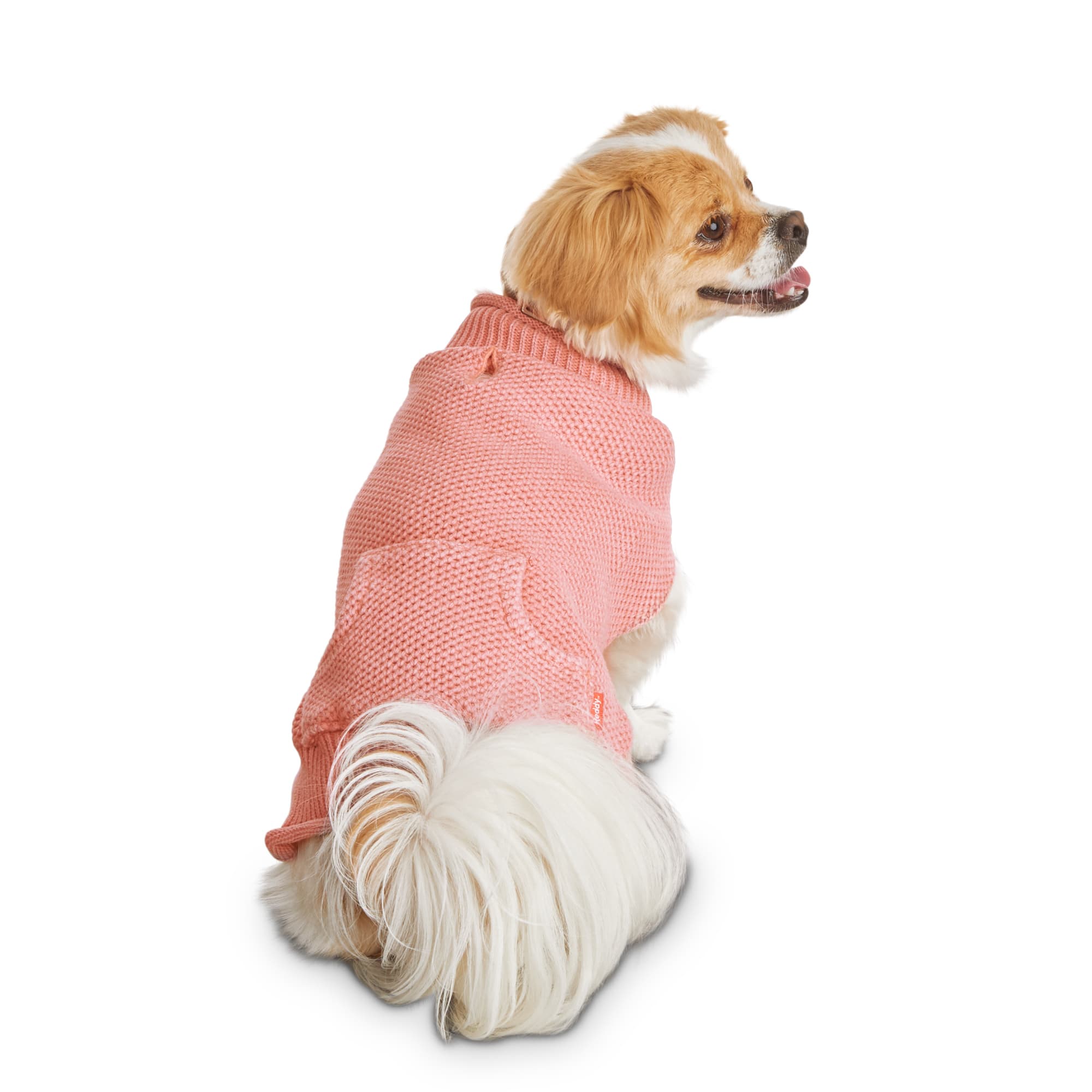 x large dog jumpers