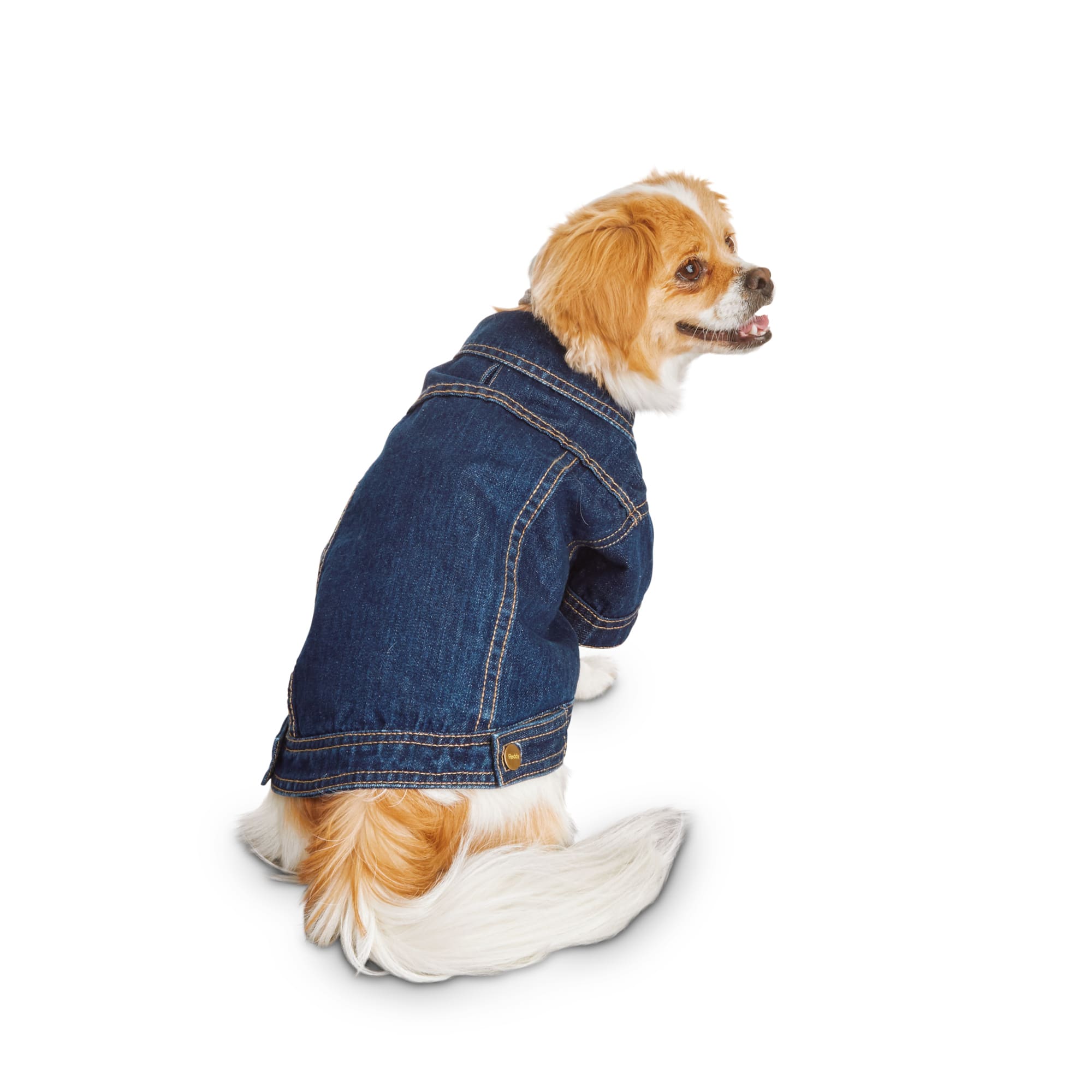 dog denim jacket