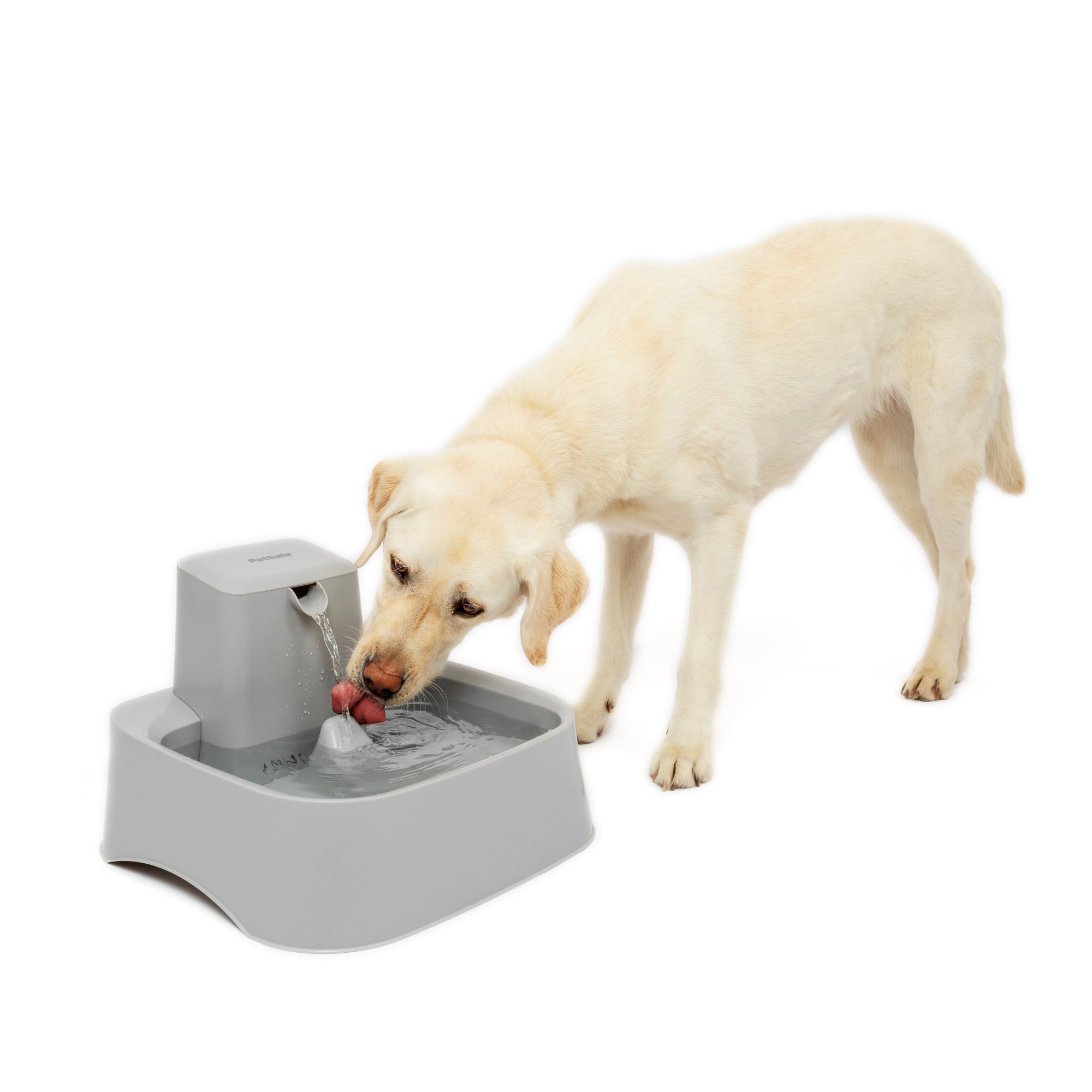 Big dog fountain clearance pump