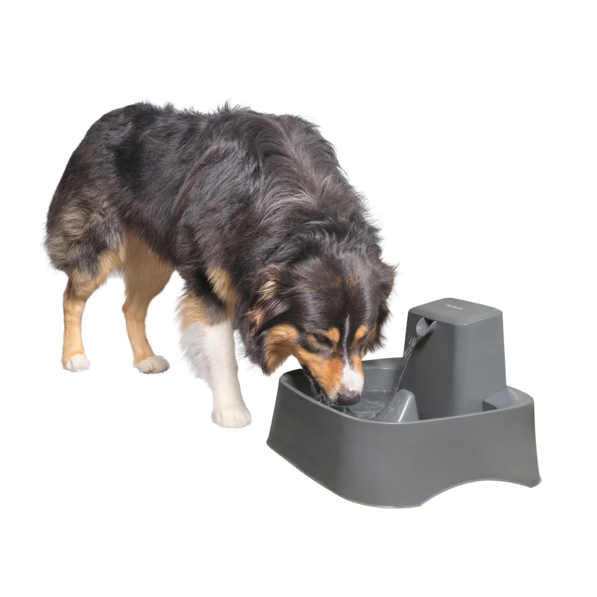 Petdott Dog Water Fountain 2 Gallons,Large Pet Water Fountain with SUS
