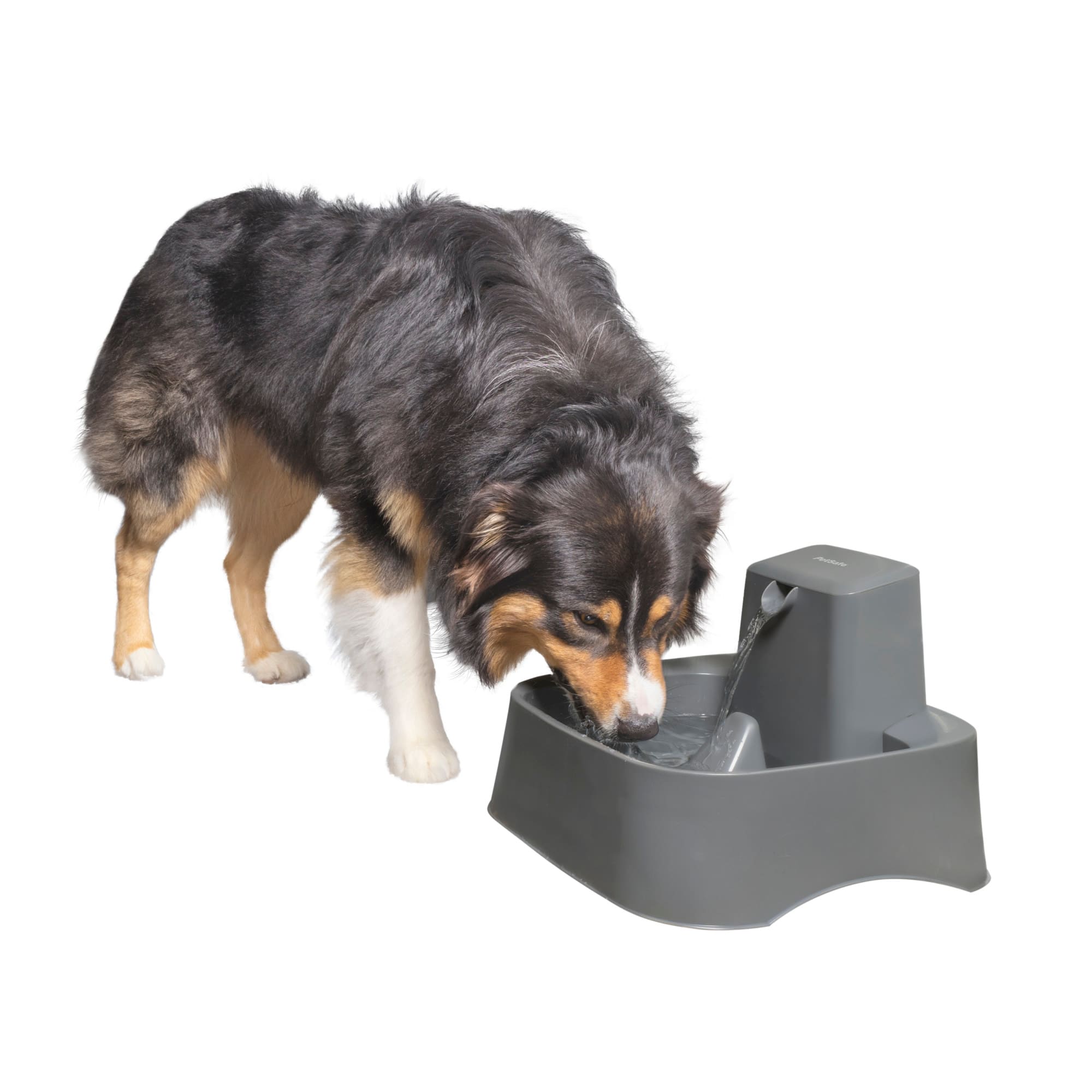 Made For Big Dogs: Drinkwell Outdoor Dog Fountain. - My Brown Newfies