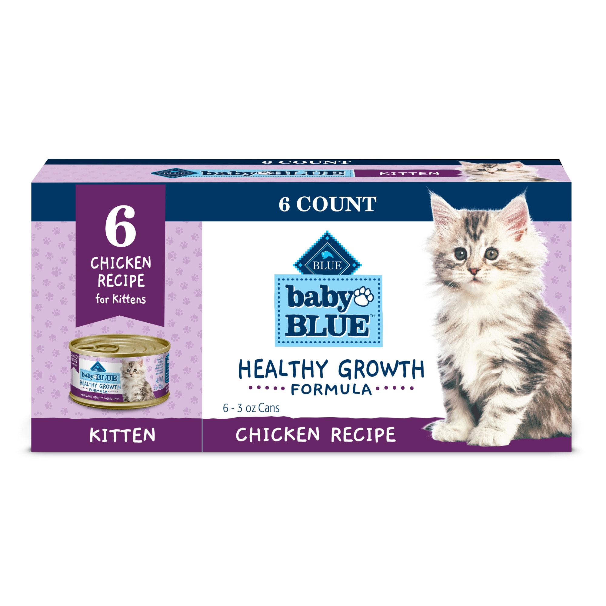 blue kitten healthy growth