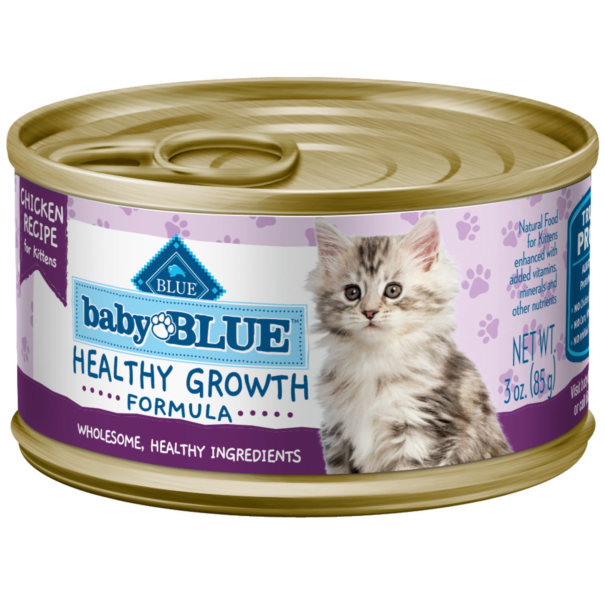 blue kitten healthy growth