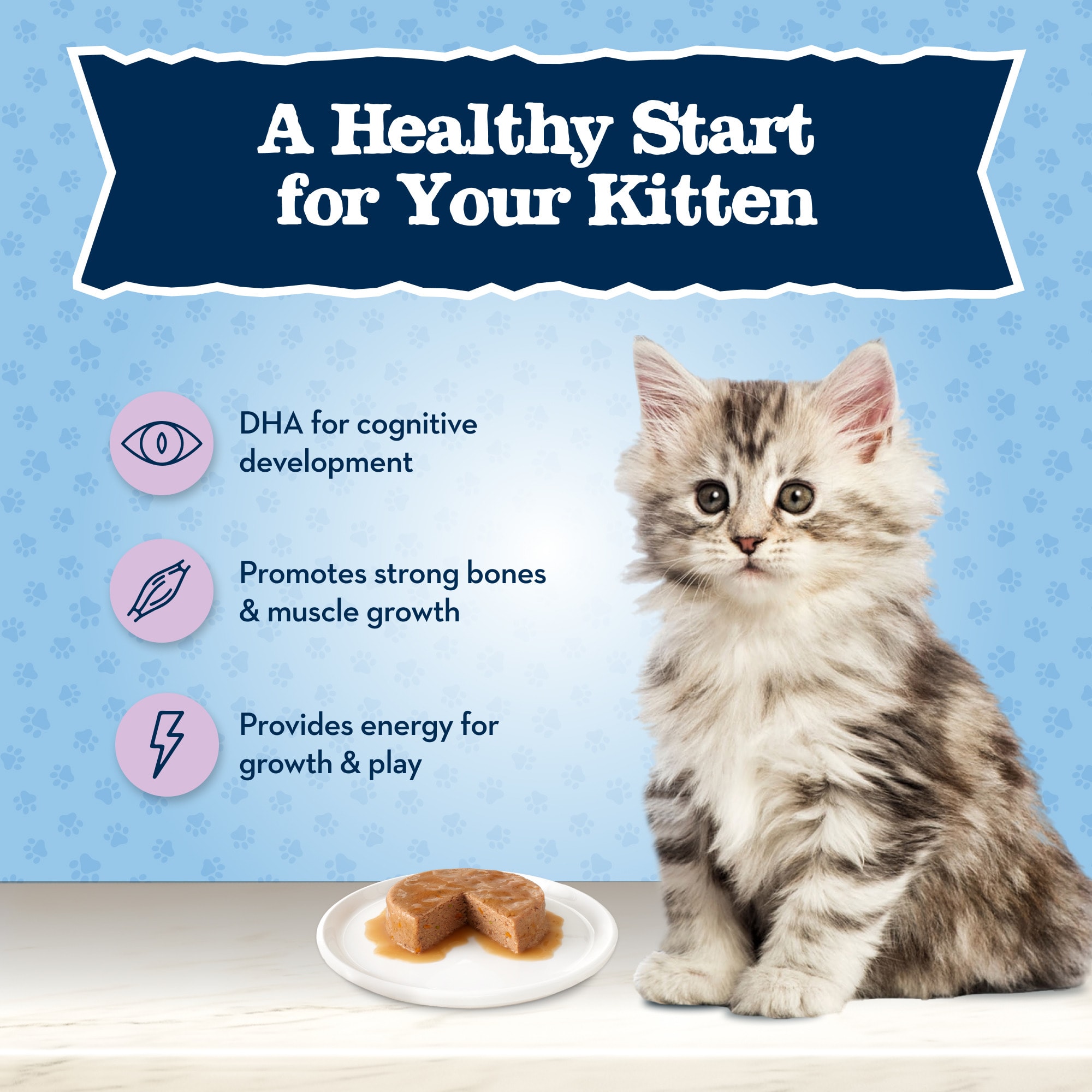 Blue Buffalo Baby Blue Healthy Growth Formula Natural Chicken Recipe Kitten Pate Wet Food 3 oz. Case of 24