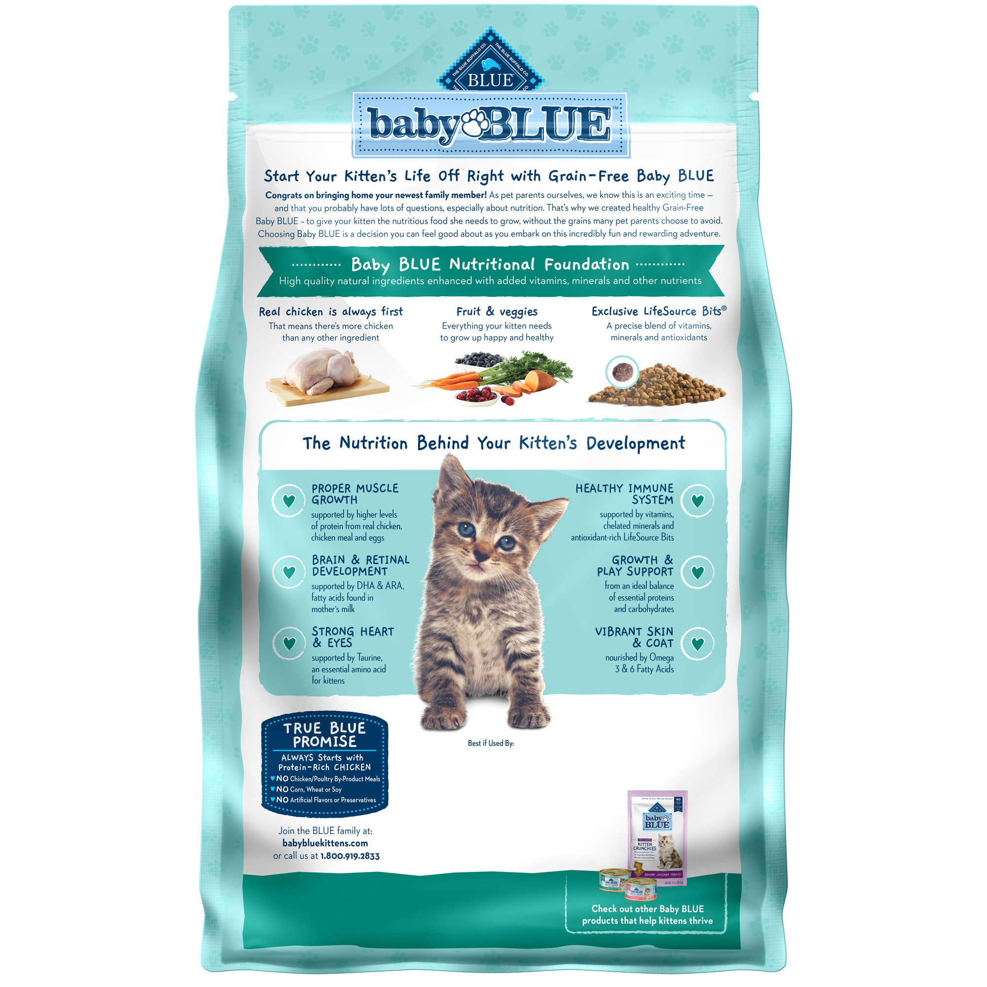 Blue buffalo grain free kitten food sale