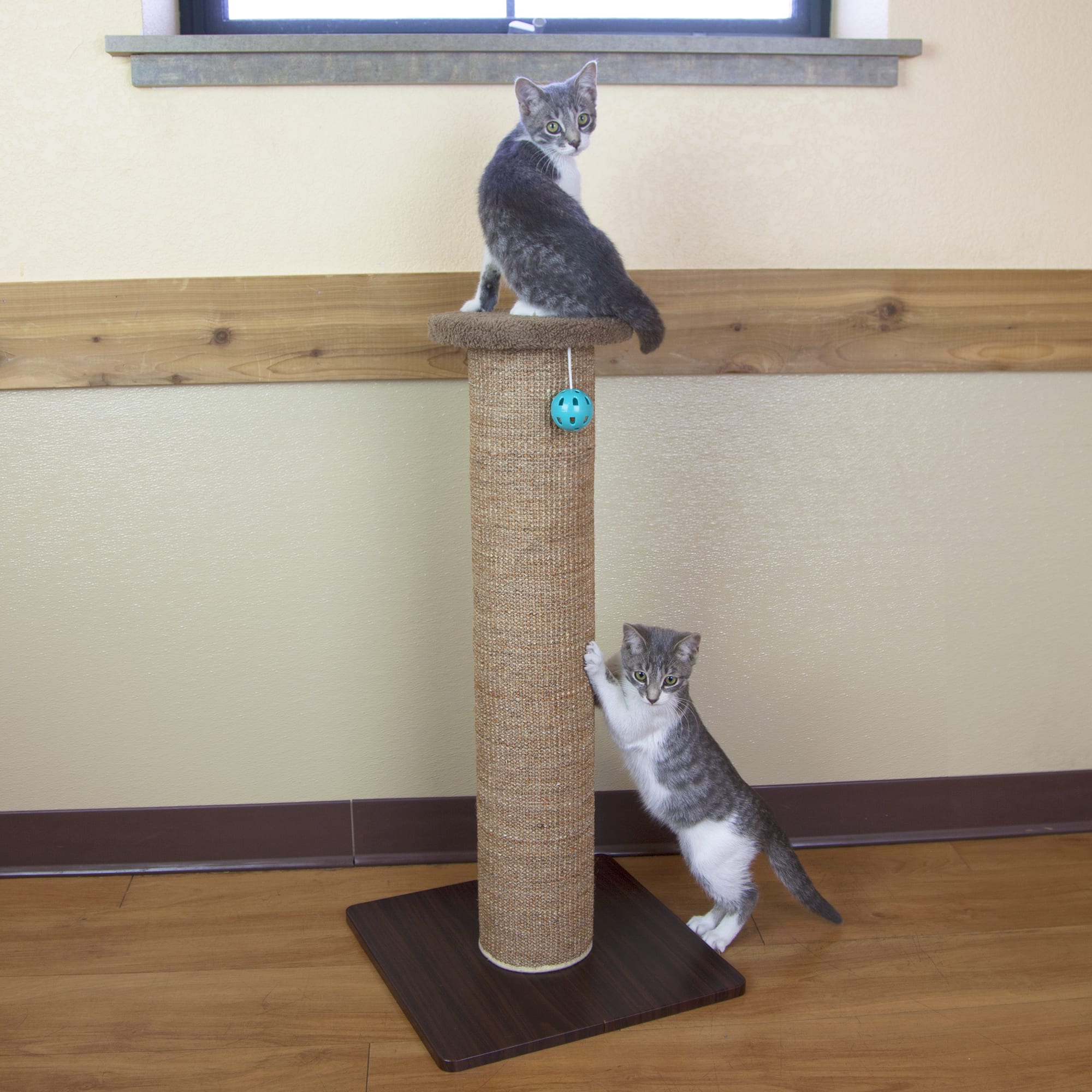 kitty city scratching post