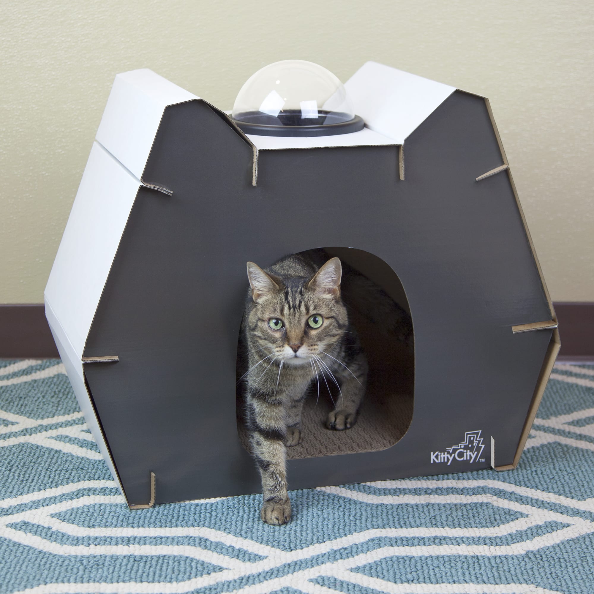 Dome 2025 cat scratcher