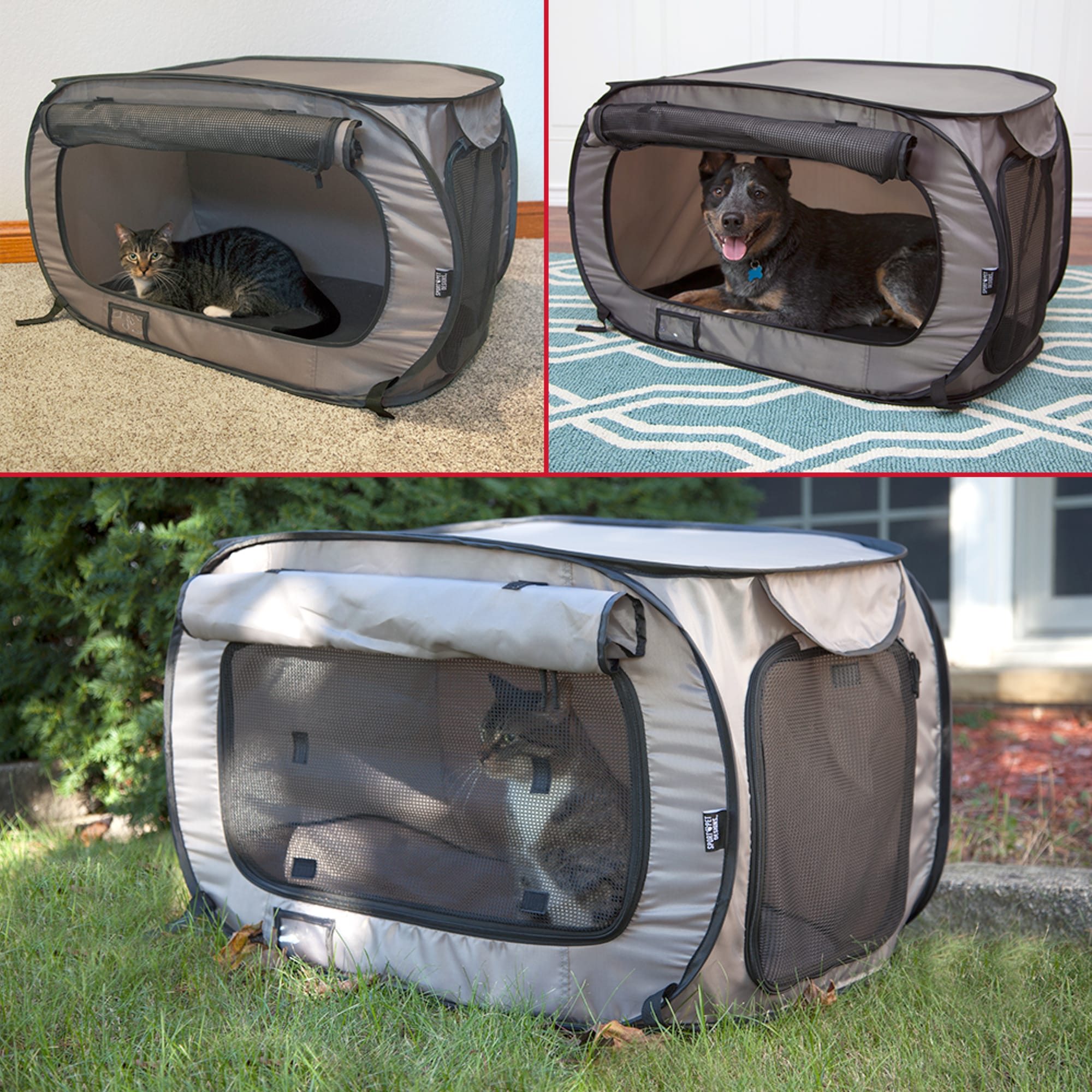 Sport pet designs cheap pop open dog kennel