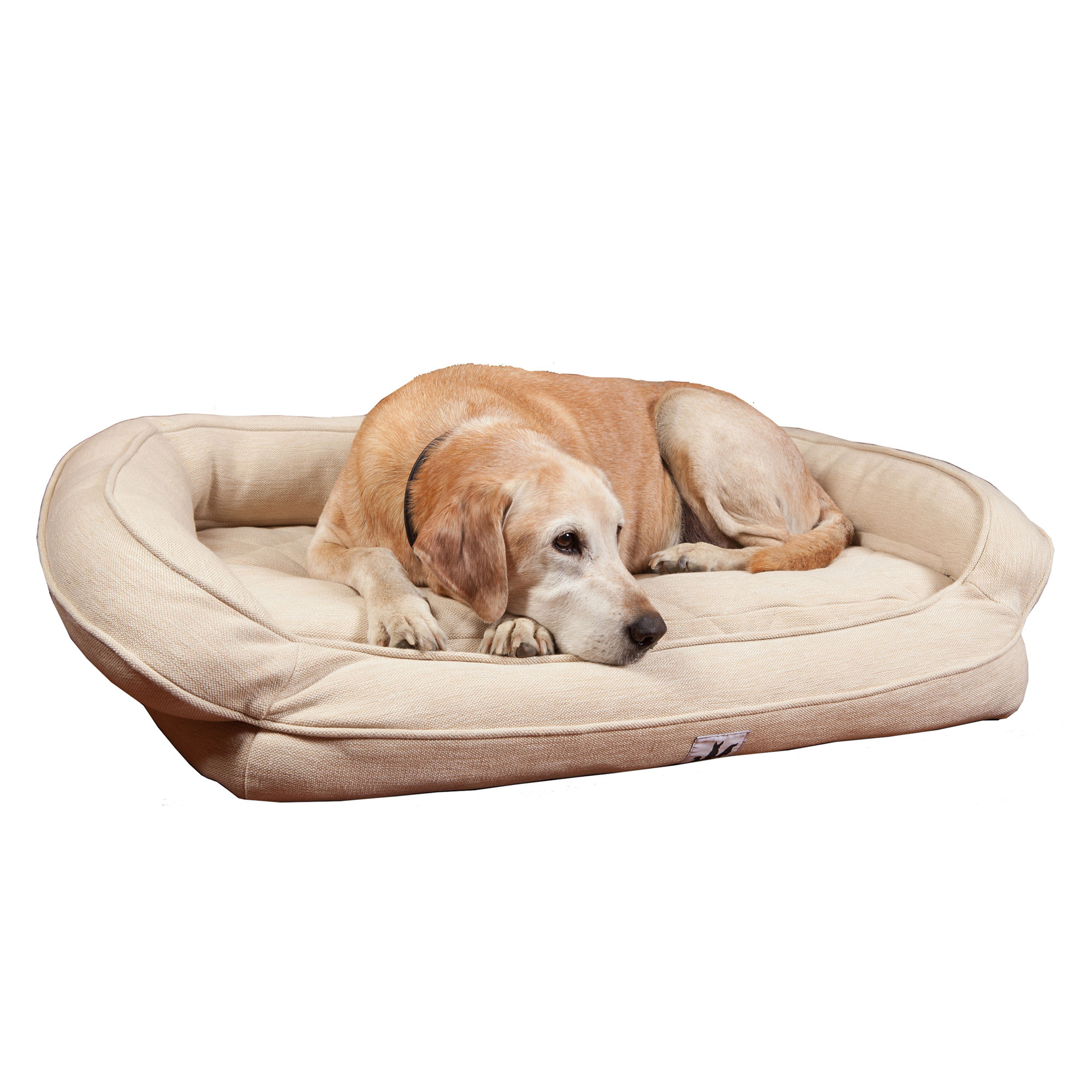 most comfortable dog bed