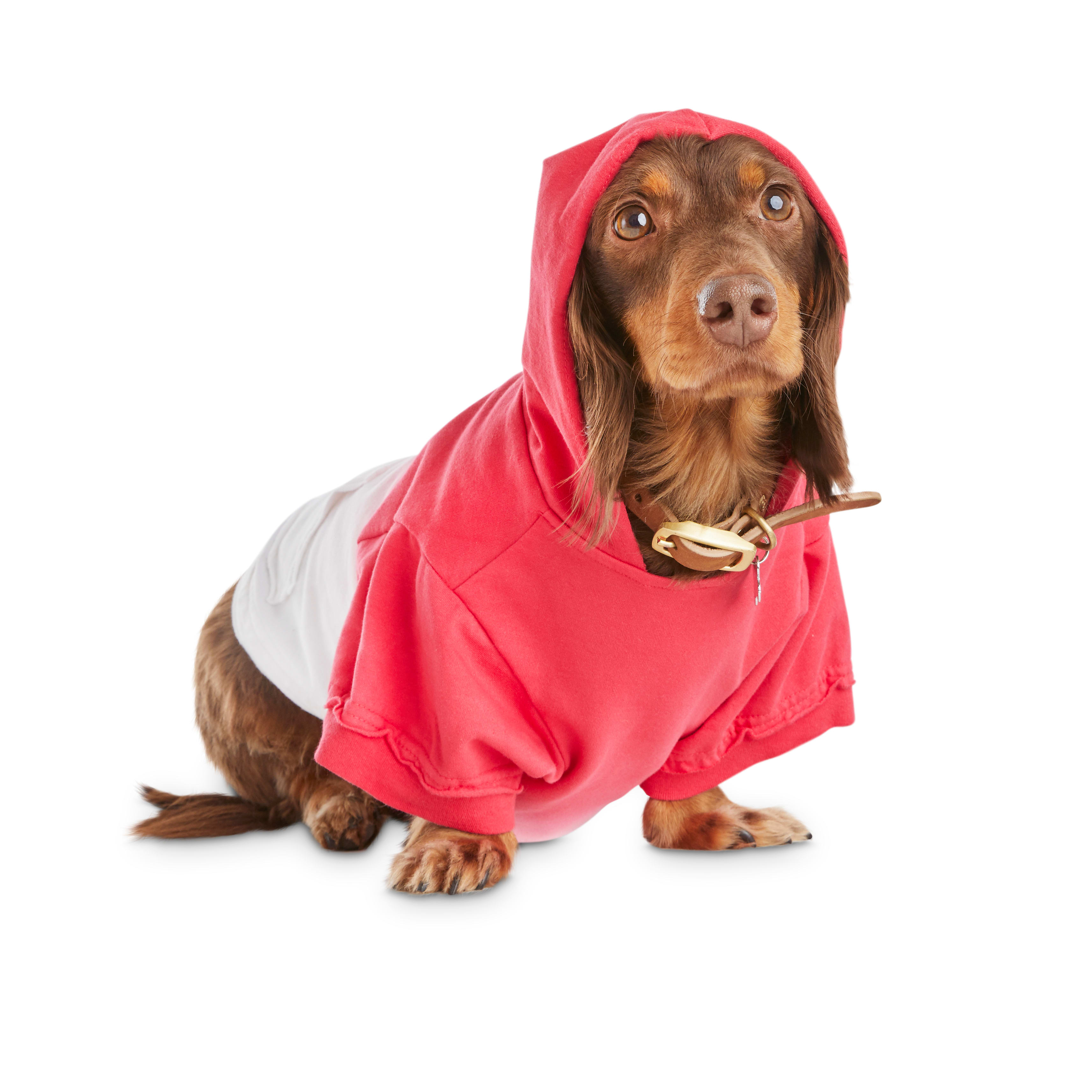 red dog hoodie