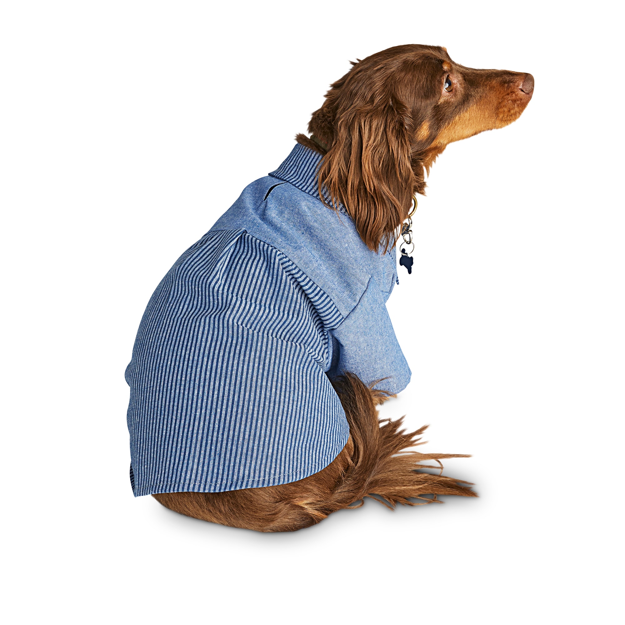 thing 2 dog shirt