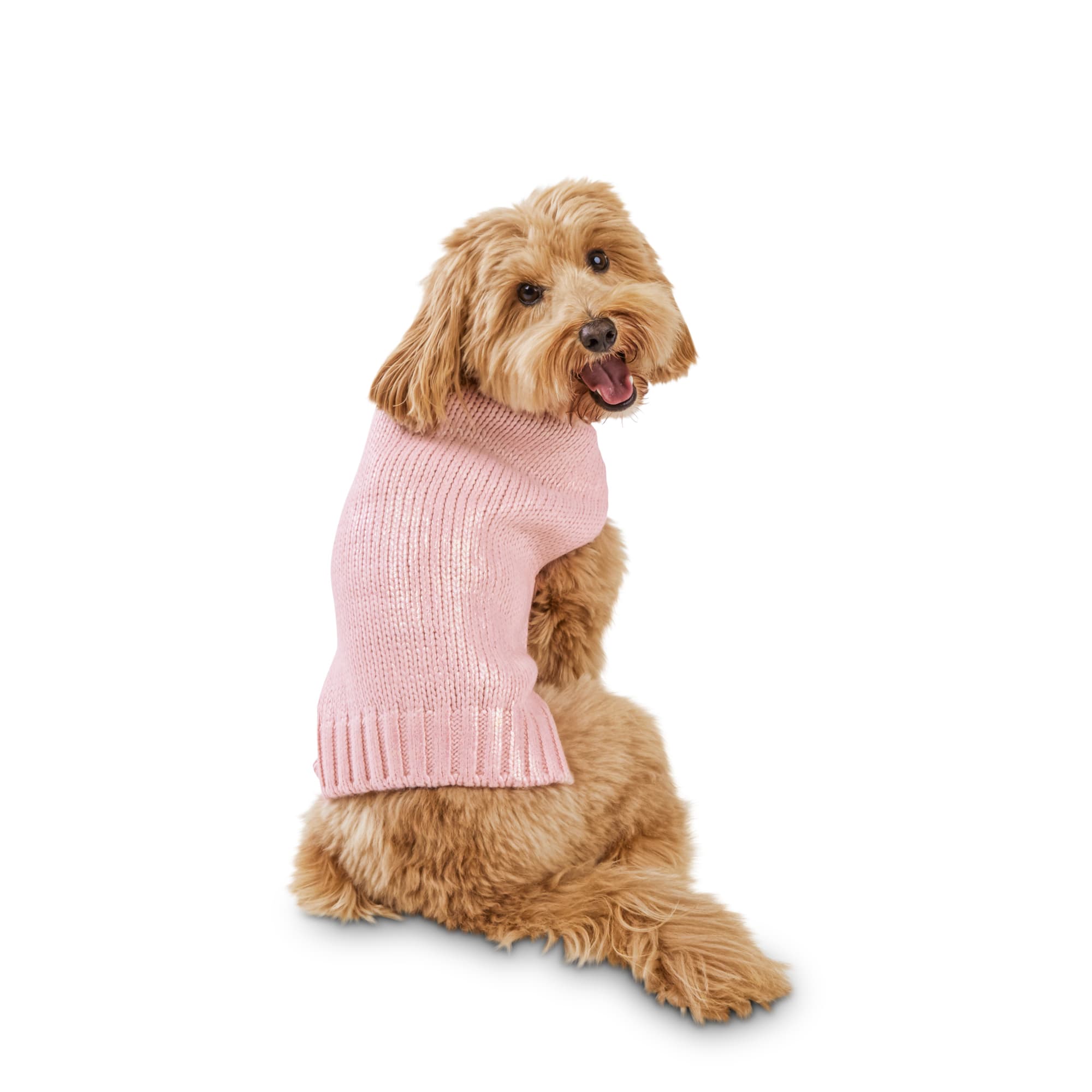 bond co dog clothes