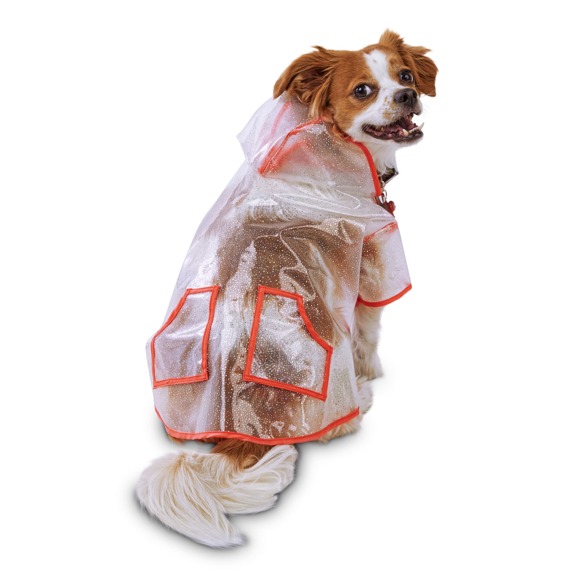 bond & co dog jacket