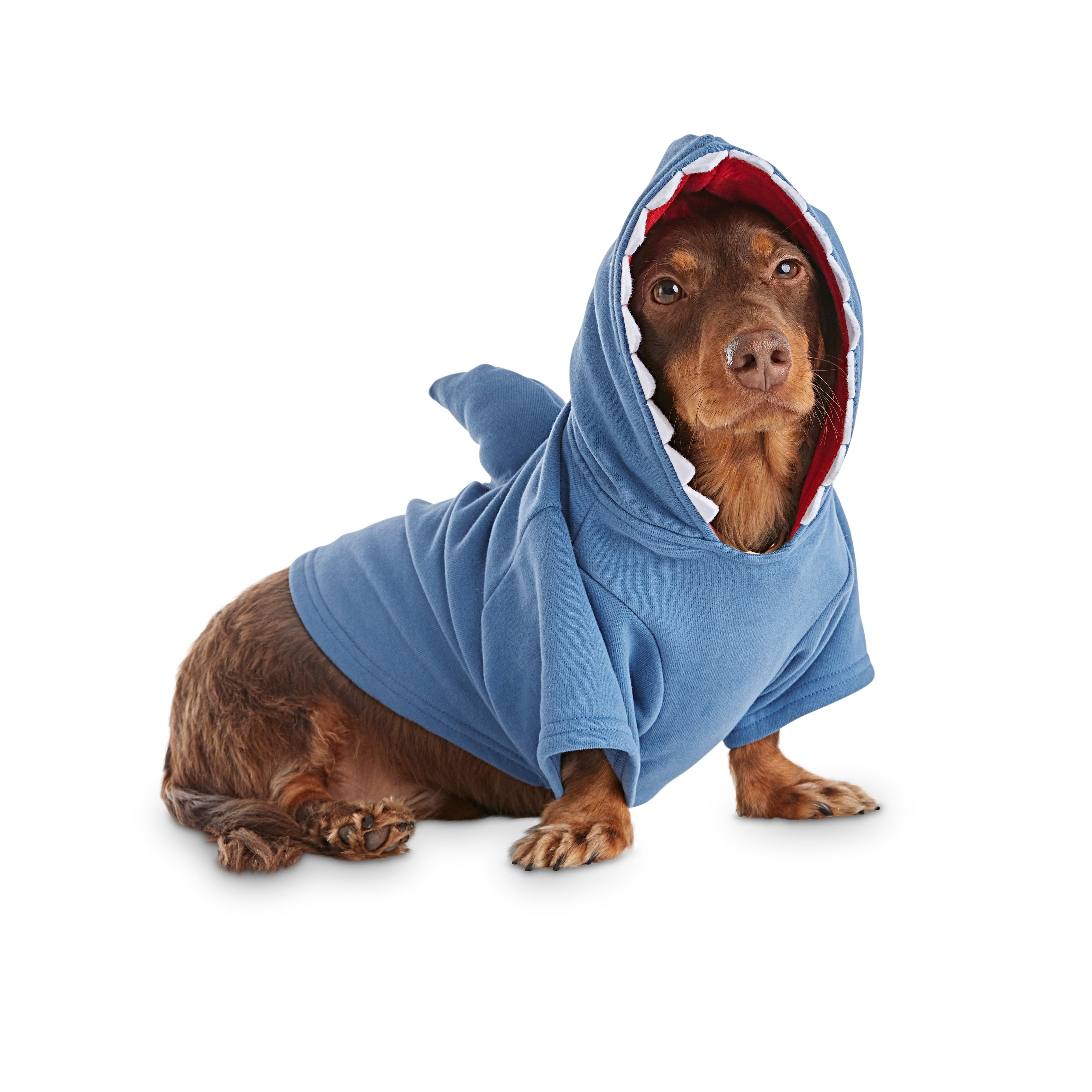 blue dog hoodie