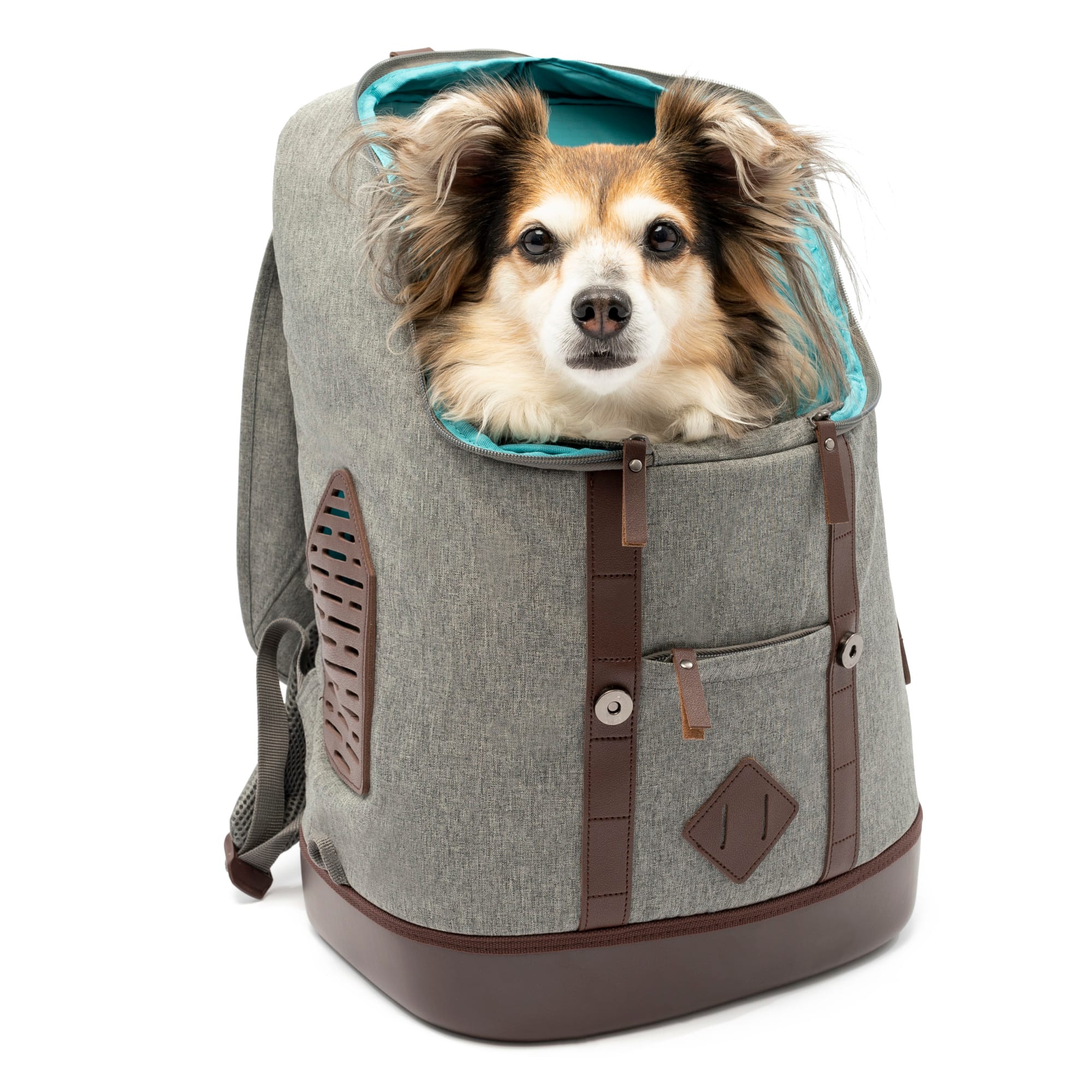 Kurgo Nomad - Dog Carrier Backpack, Hiking Backpack for Small Dogs, Pet Travel Back Pack Carrier, Interior Safety Tether, Waterproof Bottom, Dual