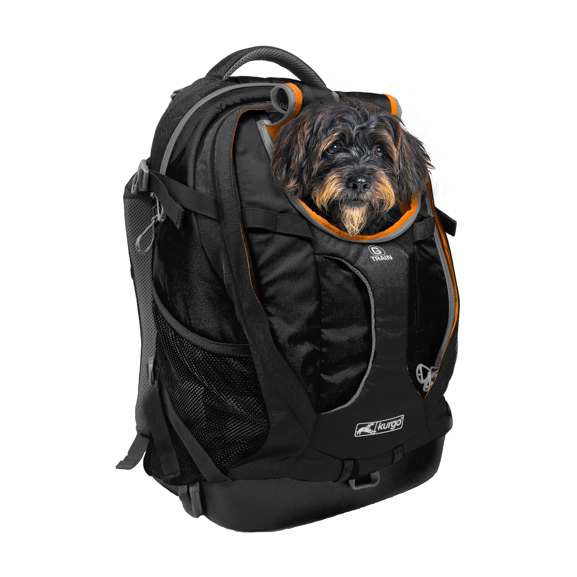 dog travel bag petco
