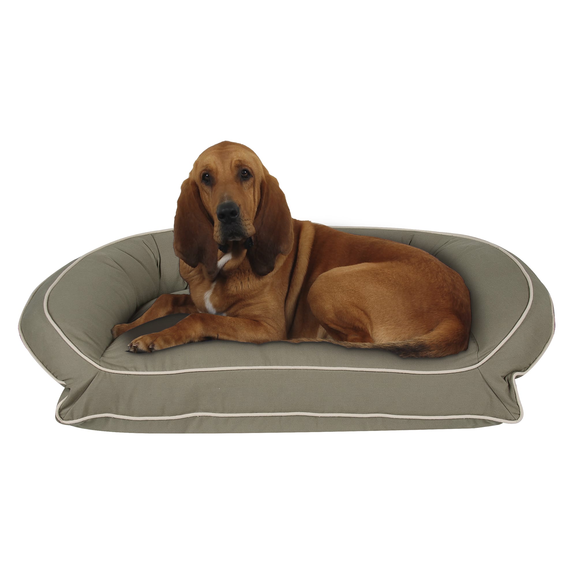 Carolina Pet Company Classic Canvas Memory Foam Bolster Dog Bed, 36" L