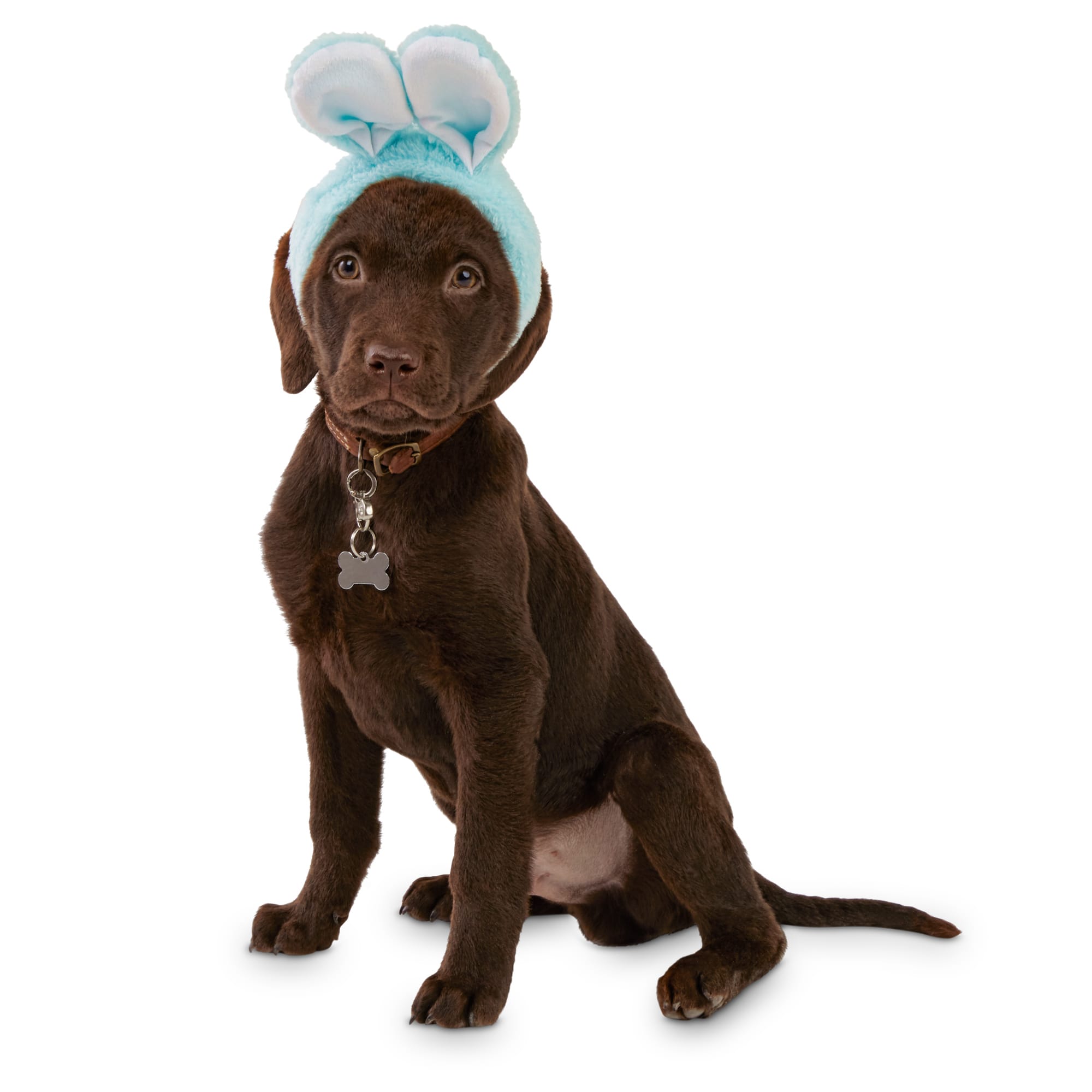 dog bonnets hats