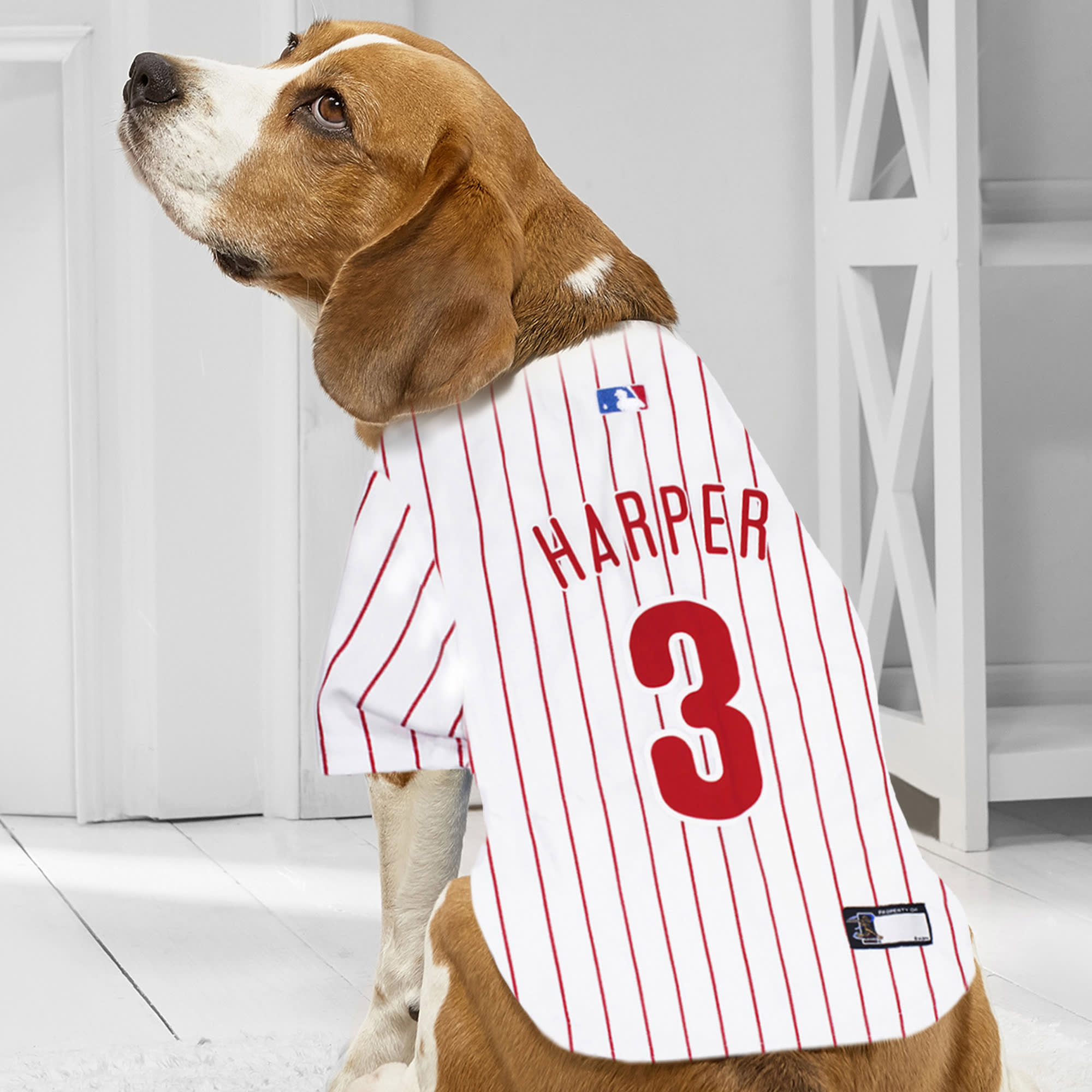 Phillies 2025 dog jersey