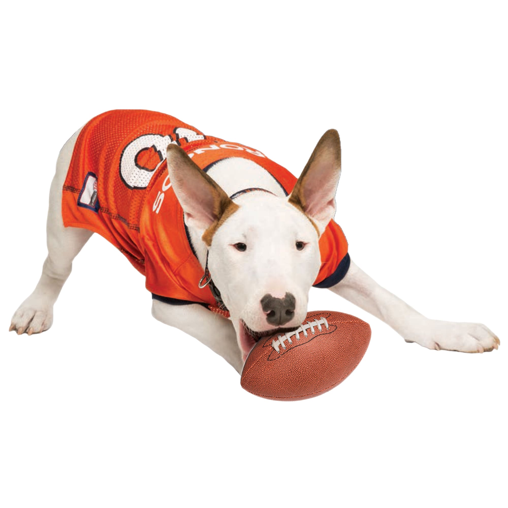 Kc chiefs best sale dog apparel