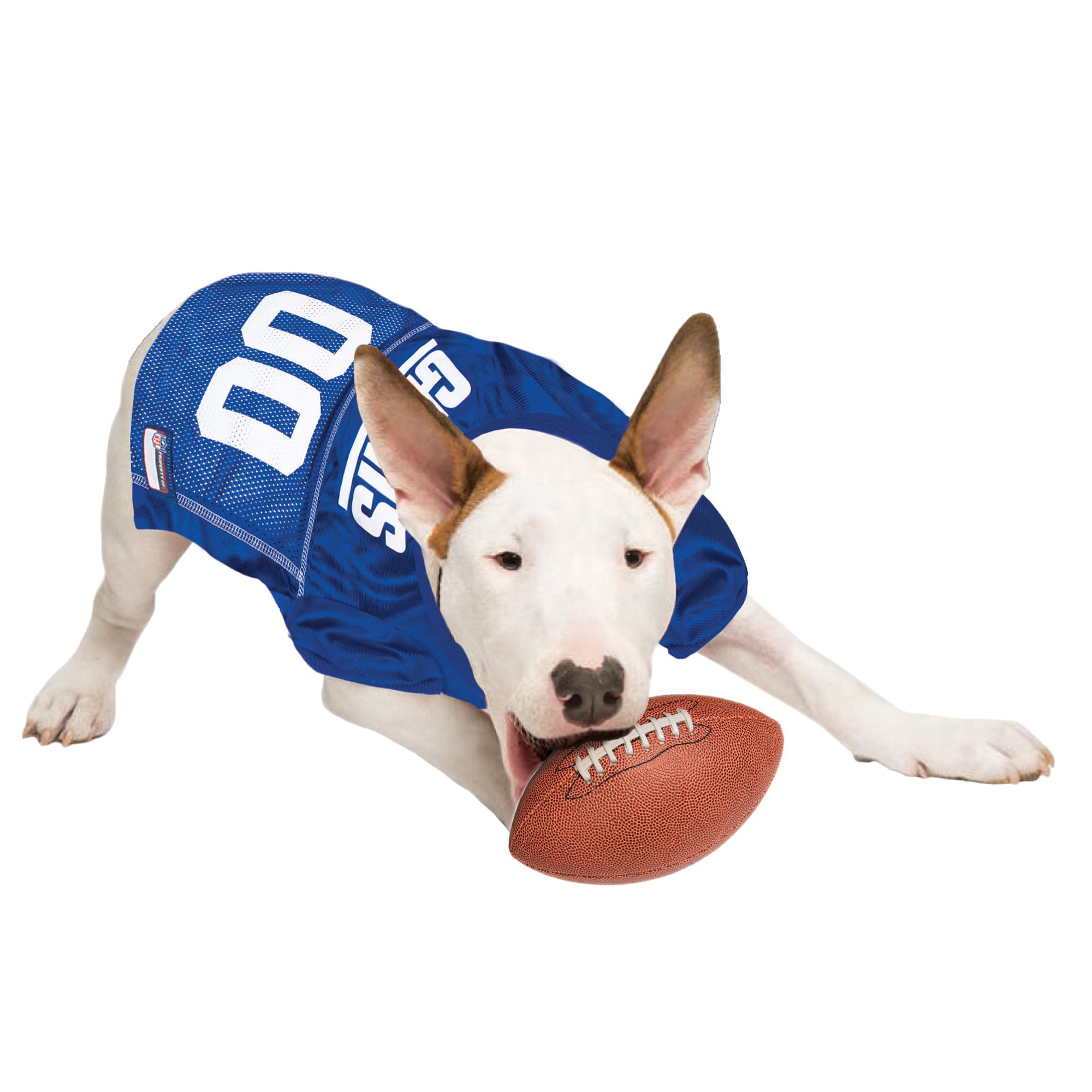 Philadelphia eagles outlet dog