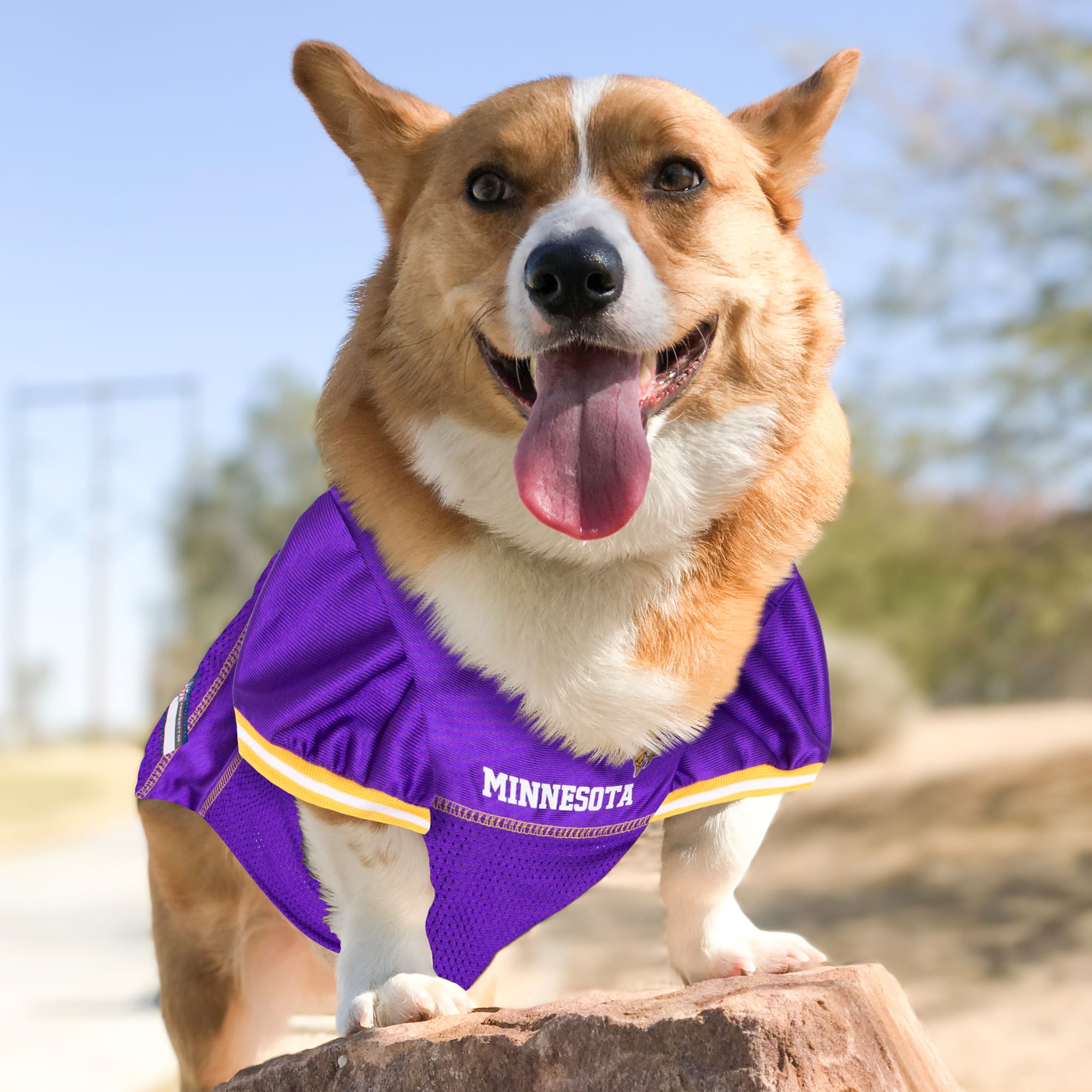 vikings jersey for dogs