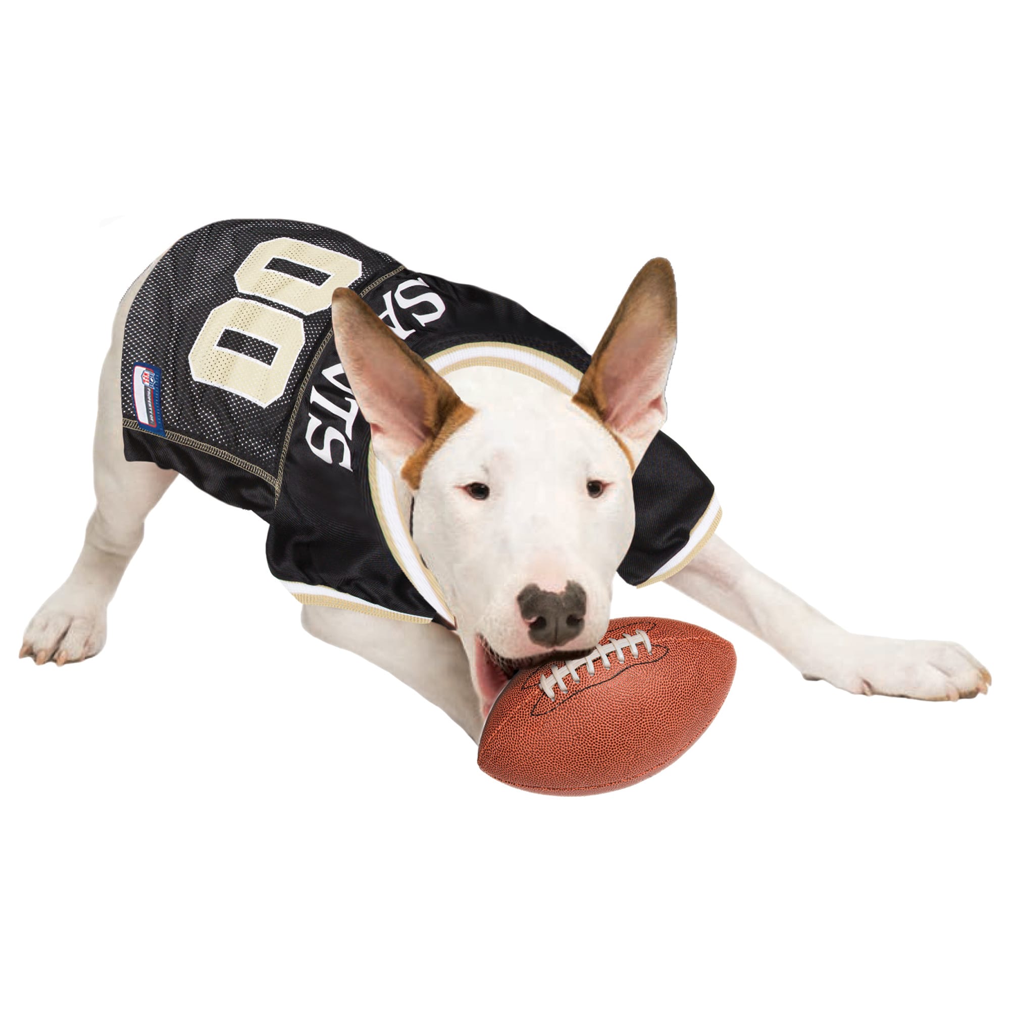 Saints deals jersey dog