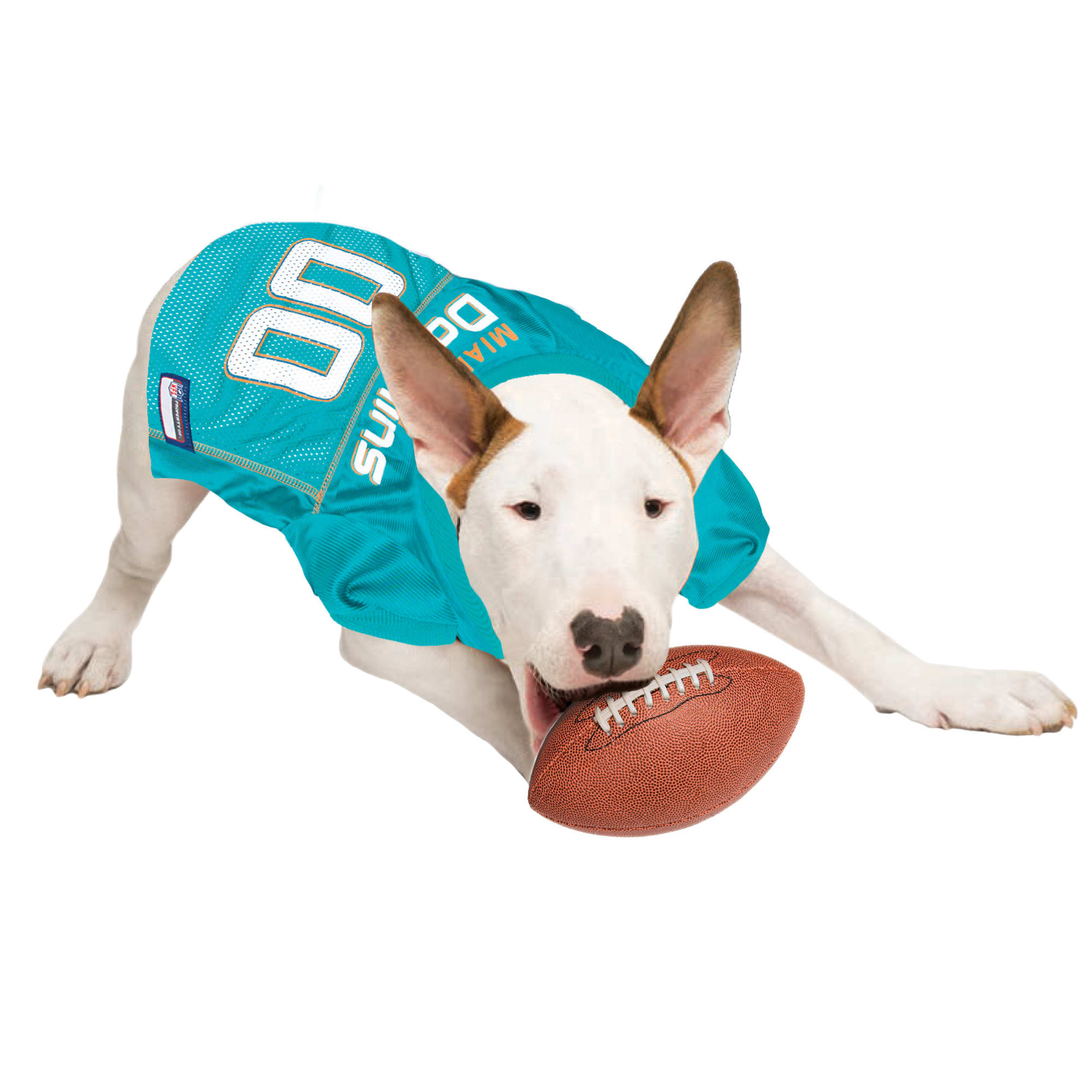 Nfl clearance dog apparel